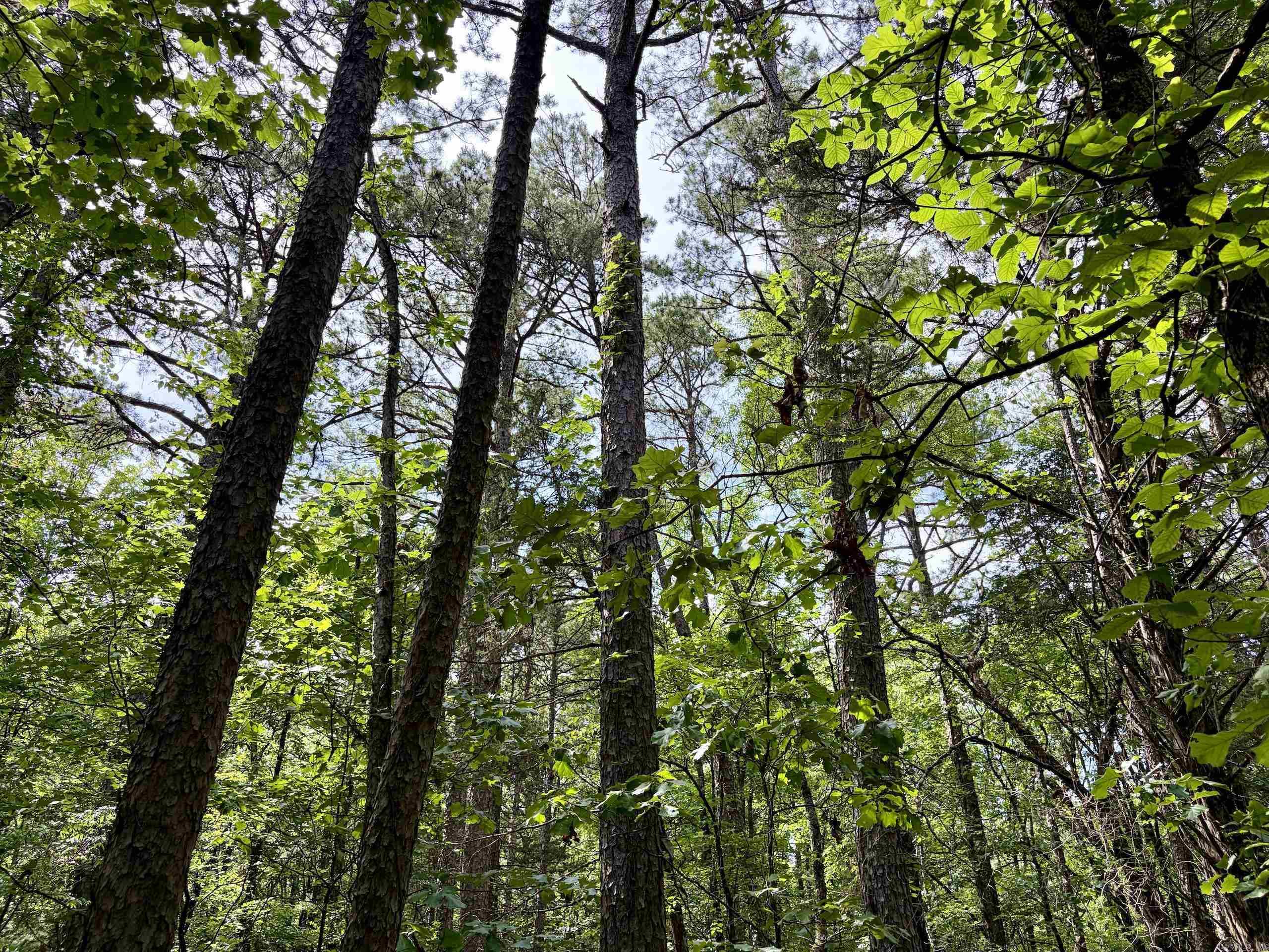2475 Holly Mountain Road  Clinton, AR