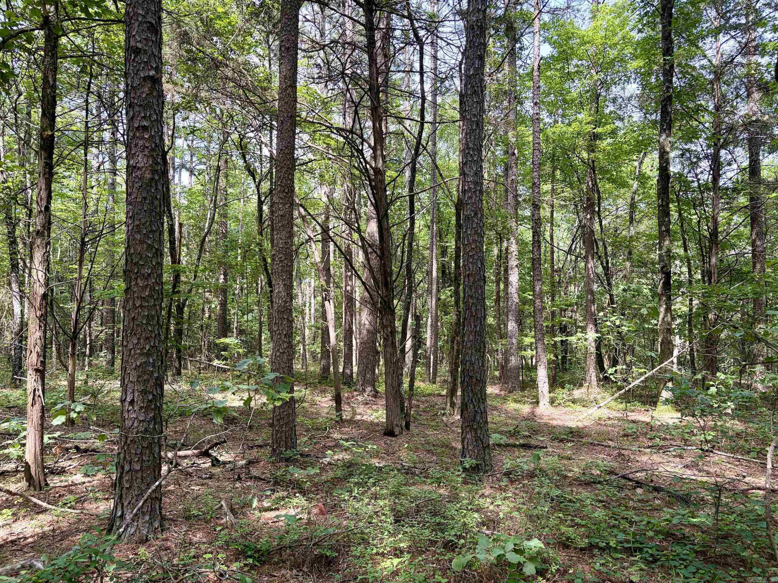 2475 Holly Mountain Road  Clinton, AR