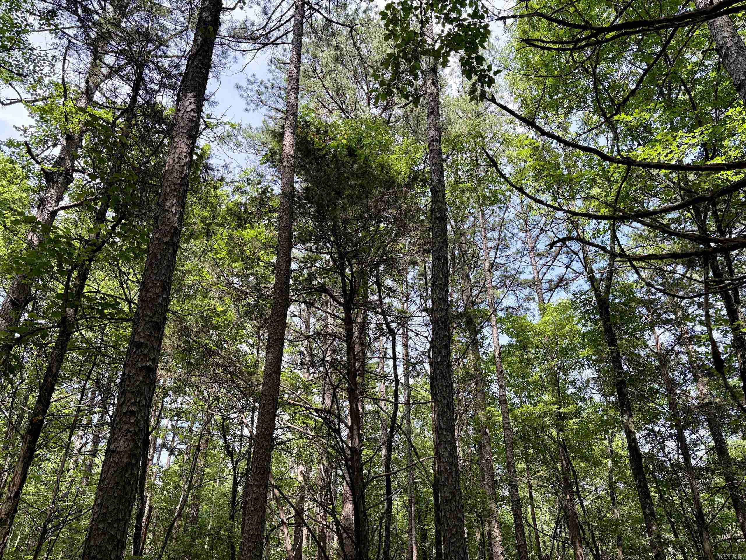 2475 Holly Mountain Road  Clinton, AR