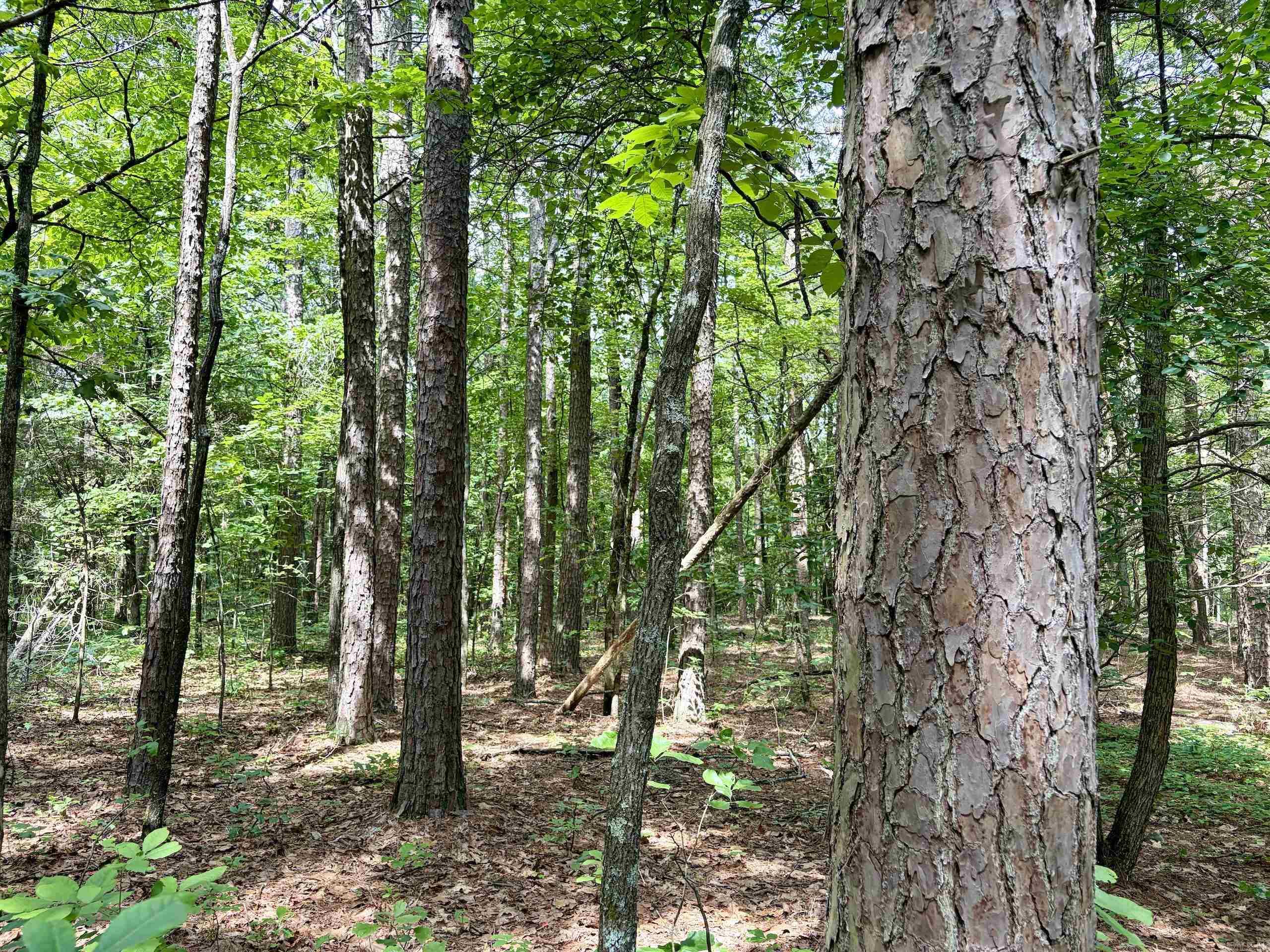 2475 Holly Mountain Road  Clinton, AR