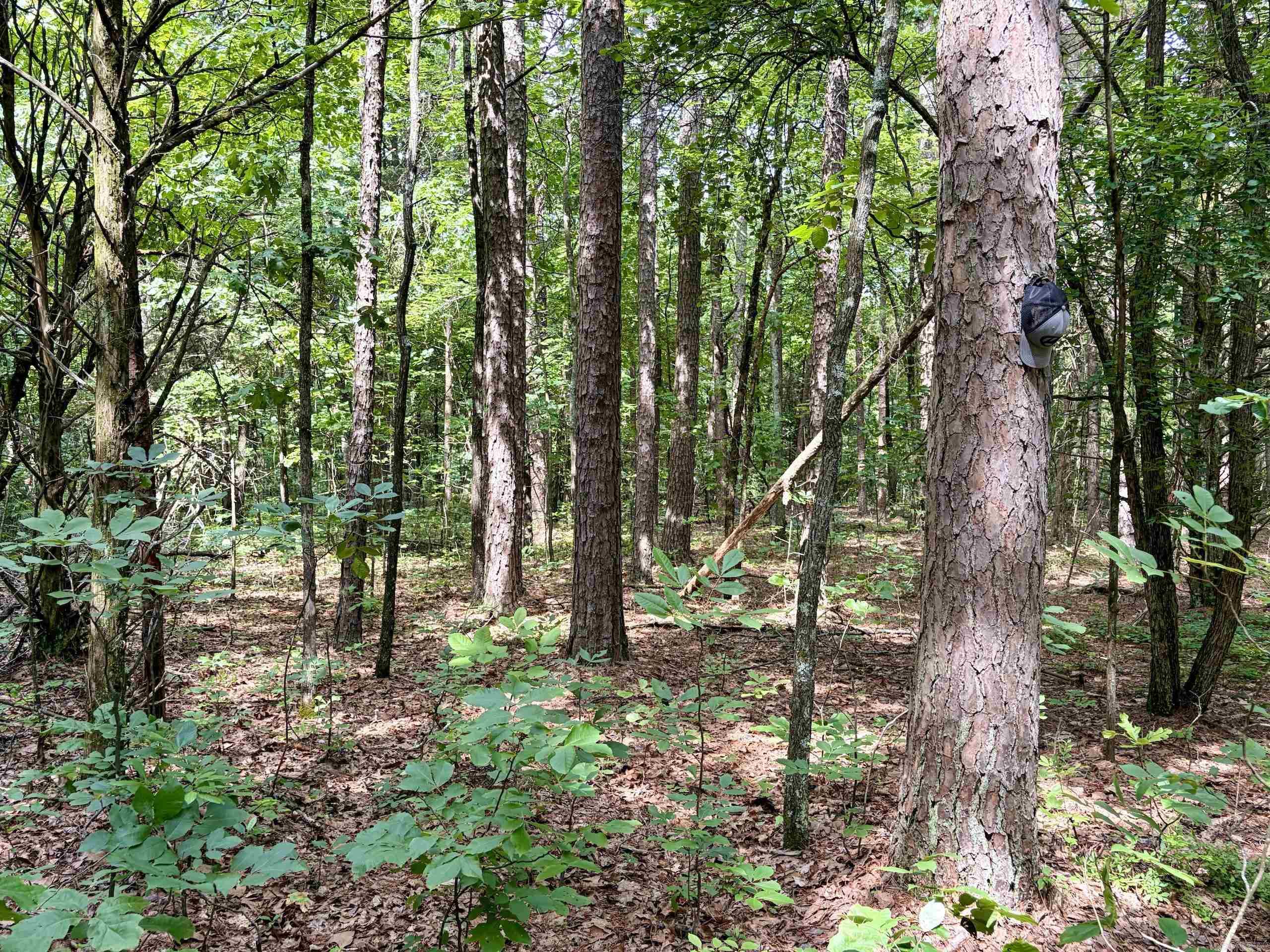 2475 Holly Mountain Road  Clinton, AR