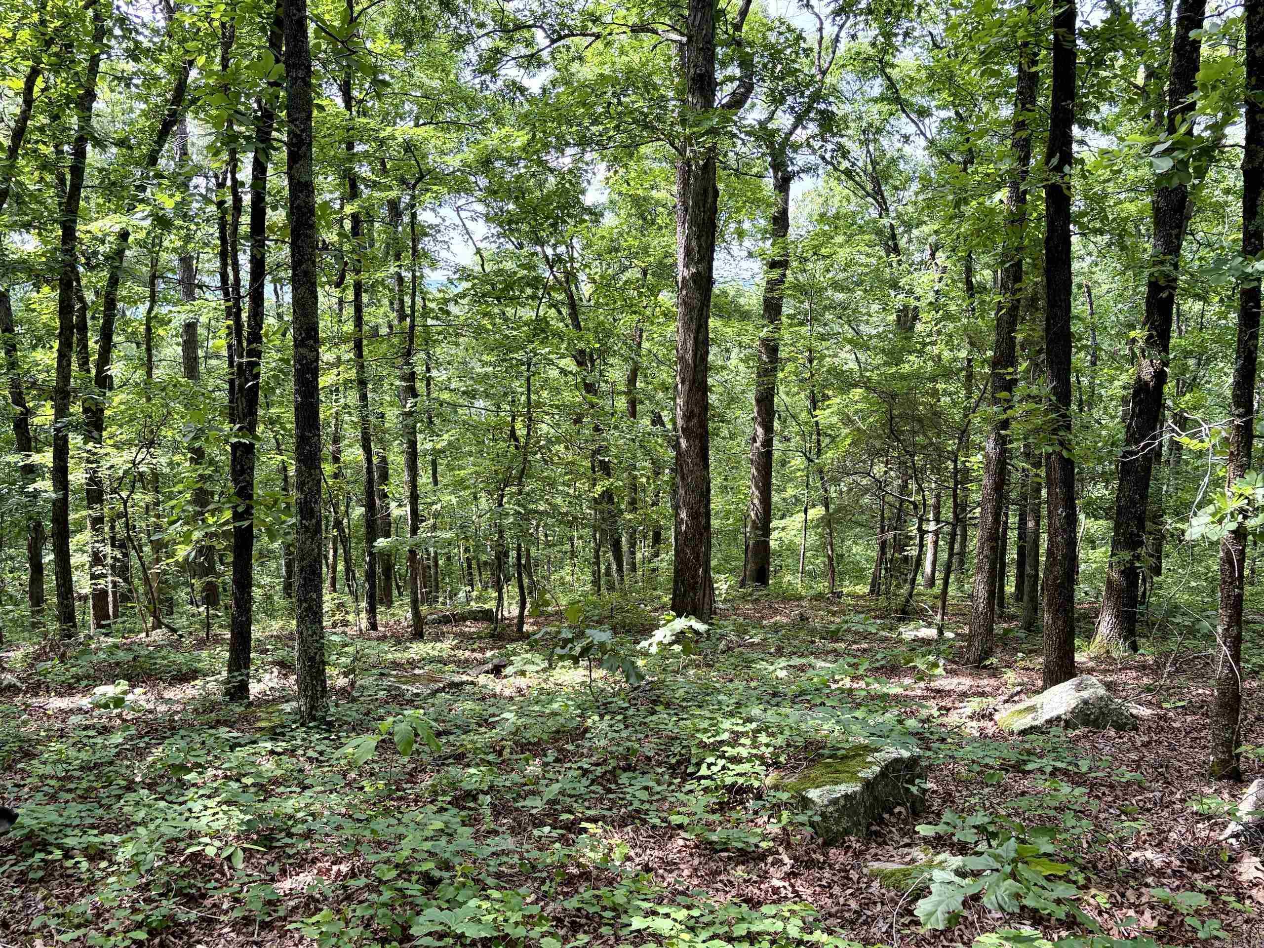 2475 Holly Mountain Road  Clinton, AR