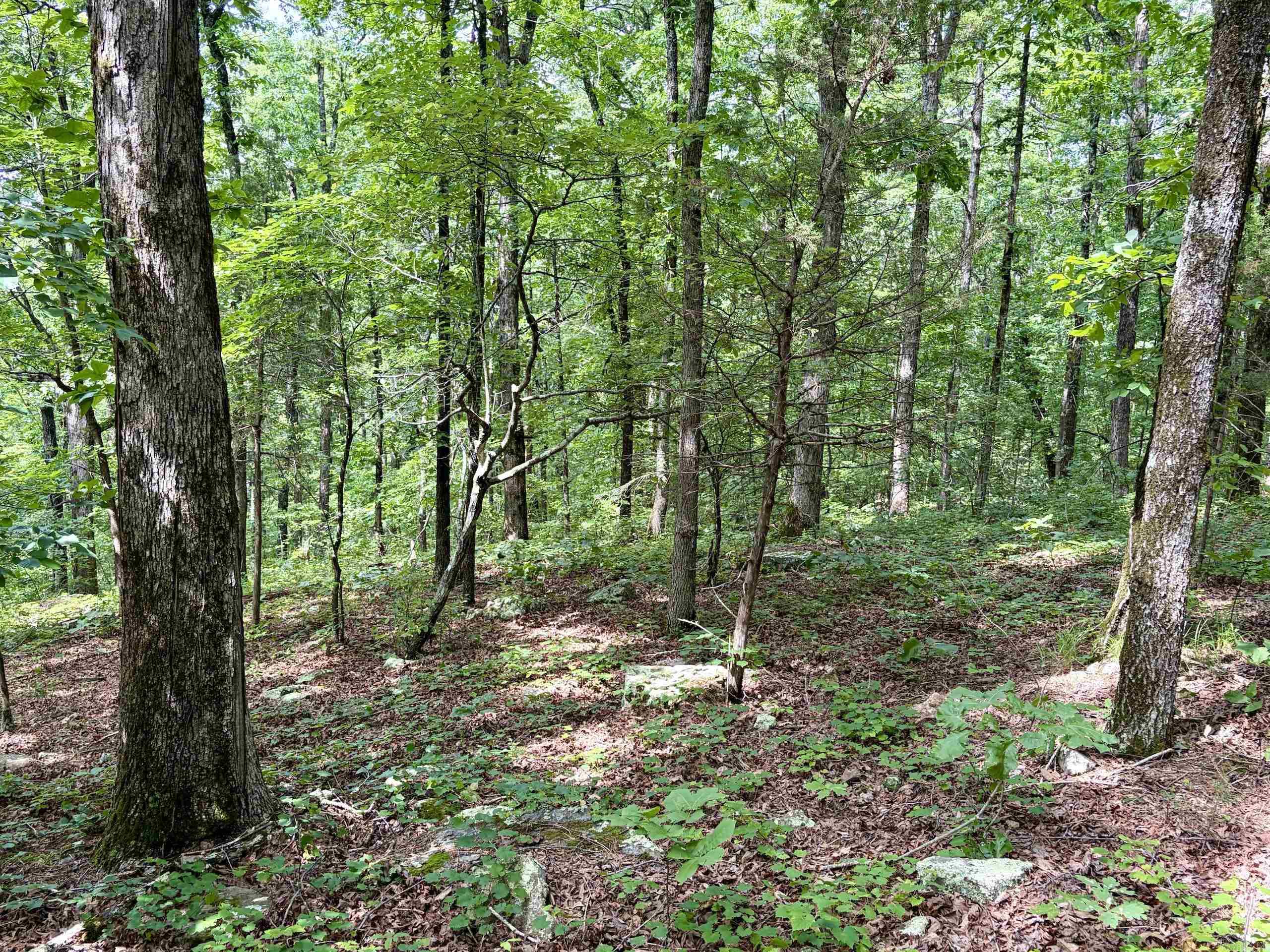 2475 Holly Mountain Road  Clinton, AR