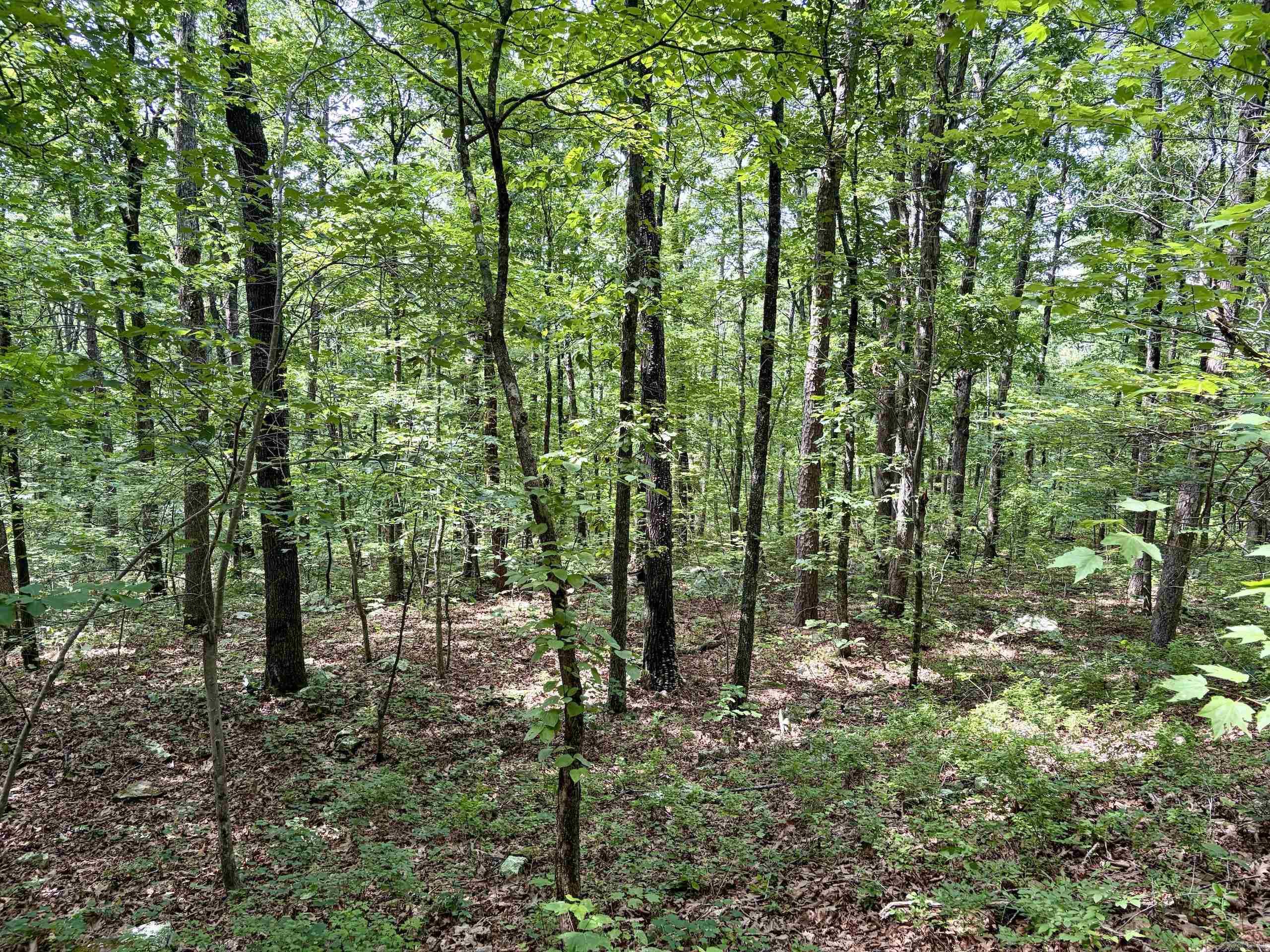 2475 Holly Mountain Road  Clinton, AR