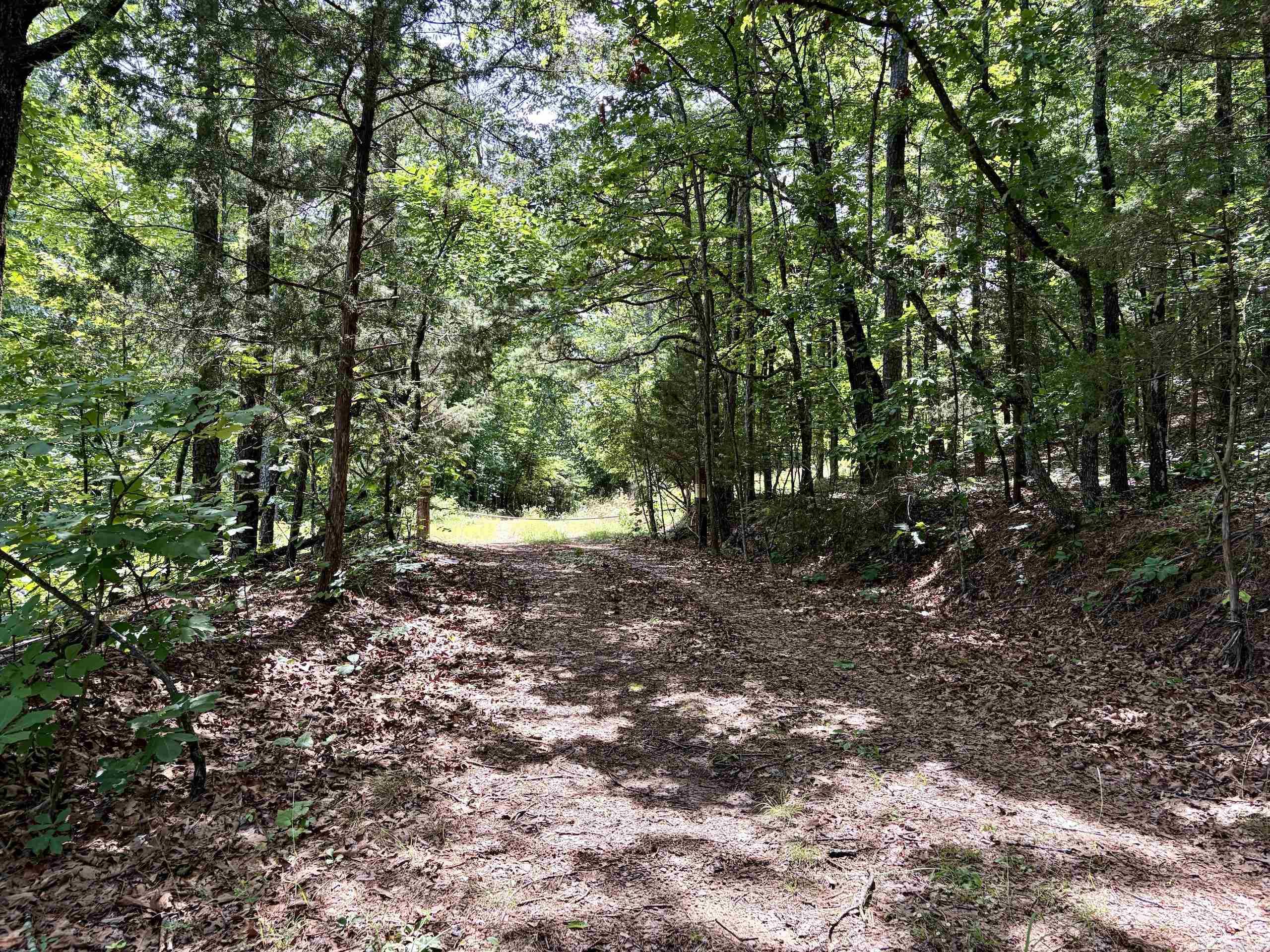 2475 Holly Mountain Road  Clinton, AR