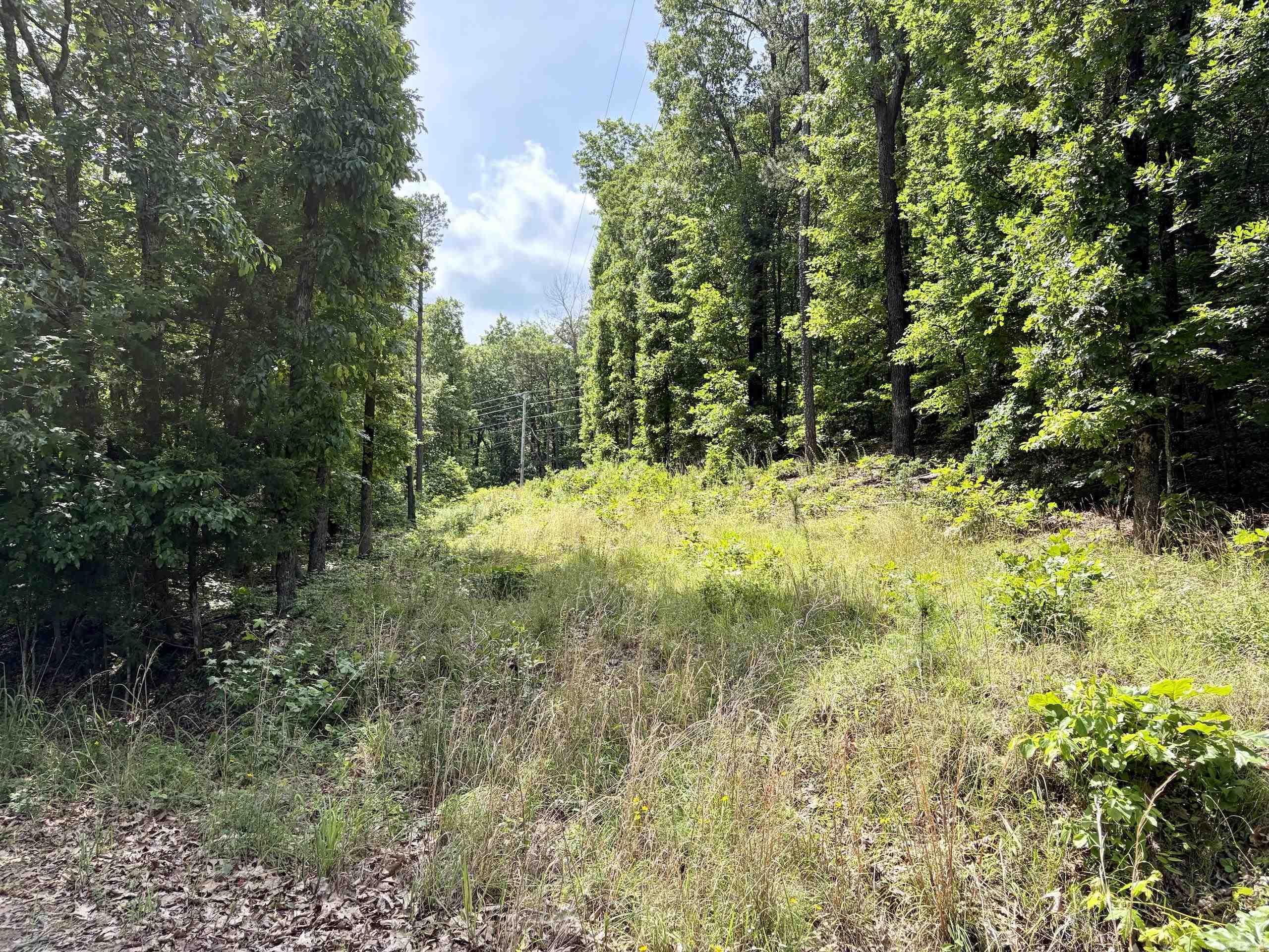 2475 Holly Mountain Road  Clinton, AR