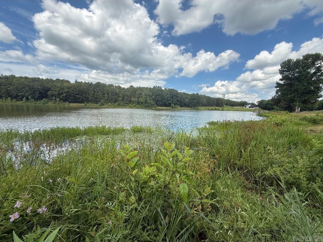 174 Mountain Ranch  Austin, AR