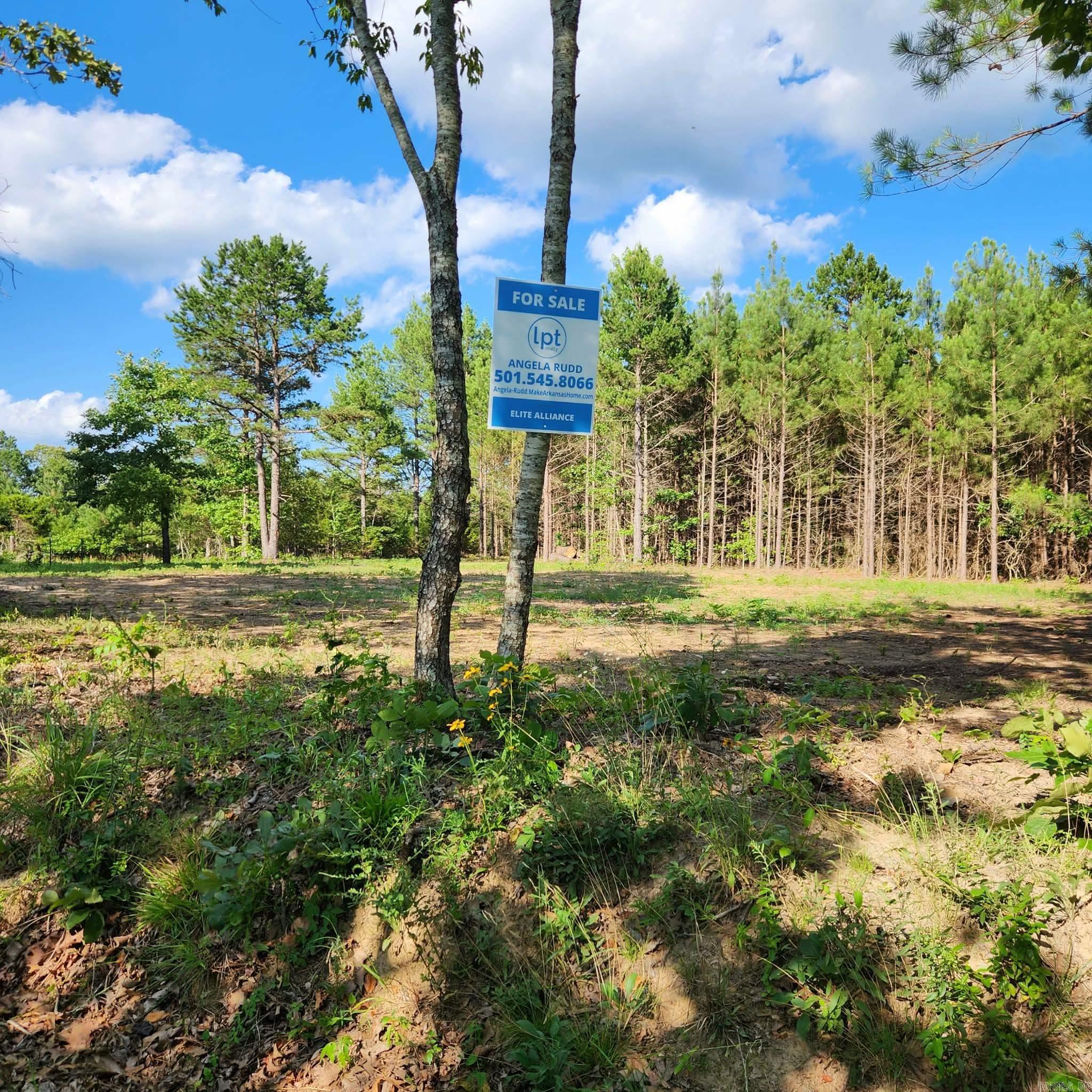 168 Harold Lane  Rose Bud, AR