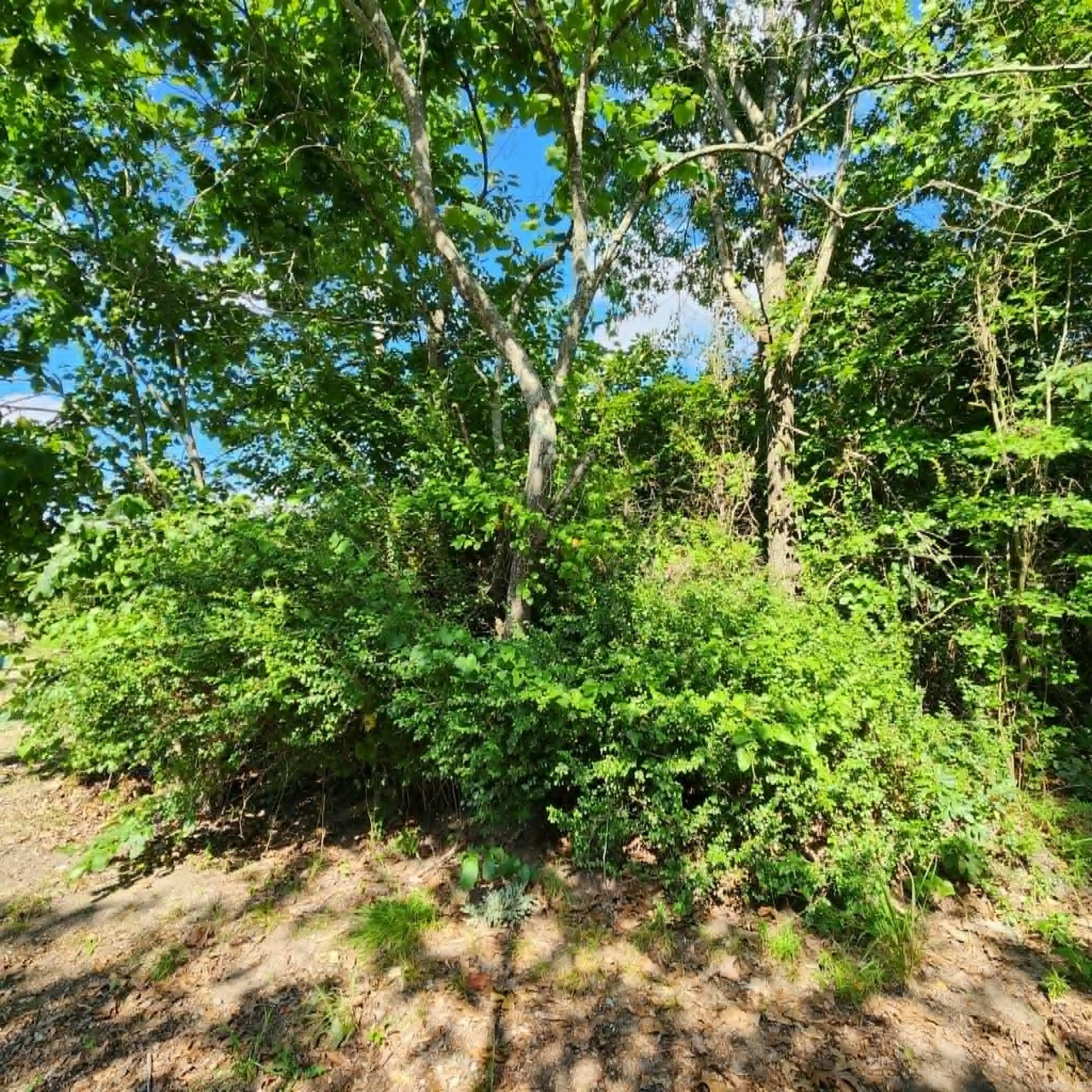168 Harold Lane  Rose Bud, AR