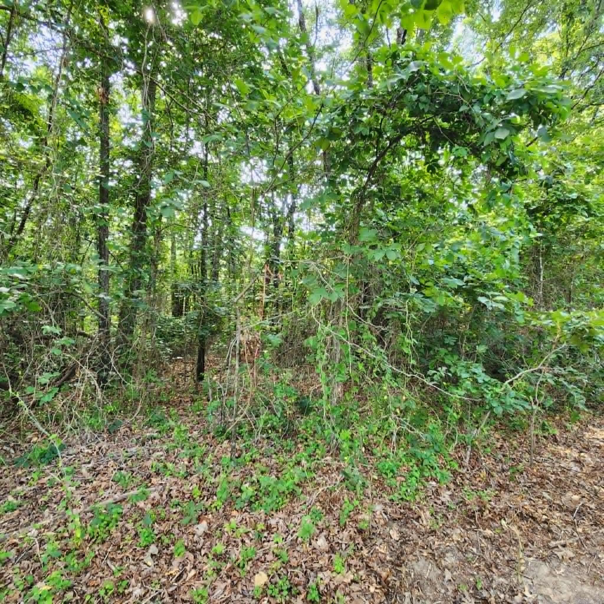 168 Harold Lane  Rose Bud, AR