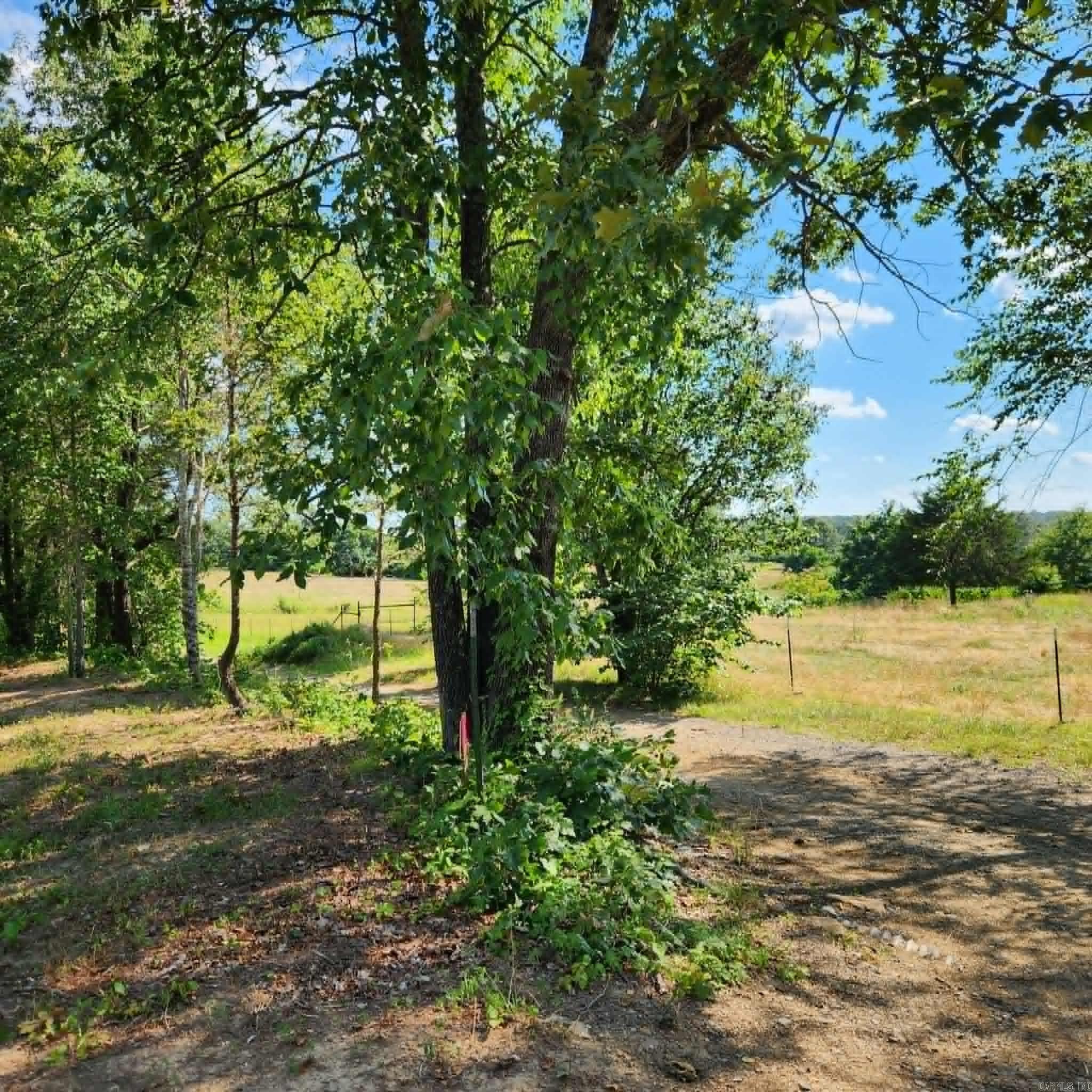 168 Harold Lane  Rose Bud, AR