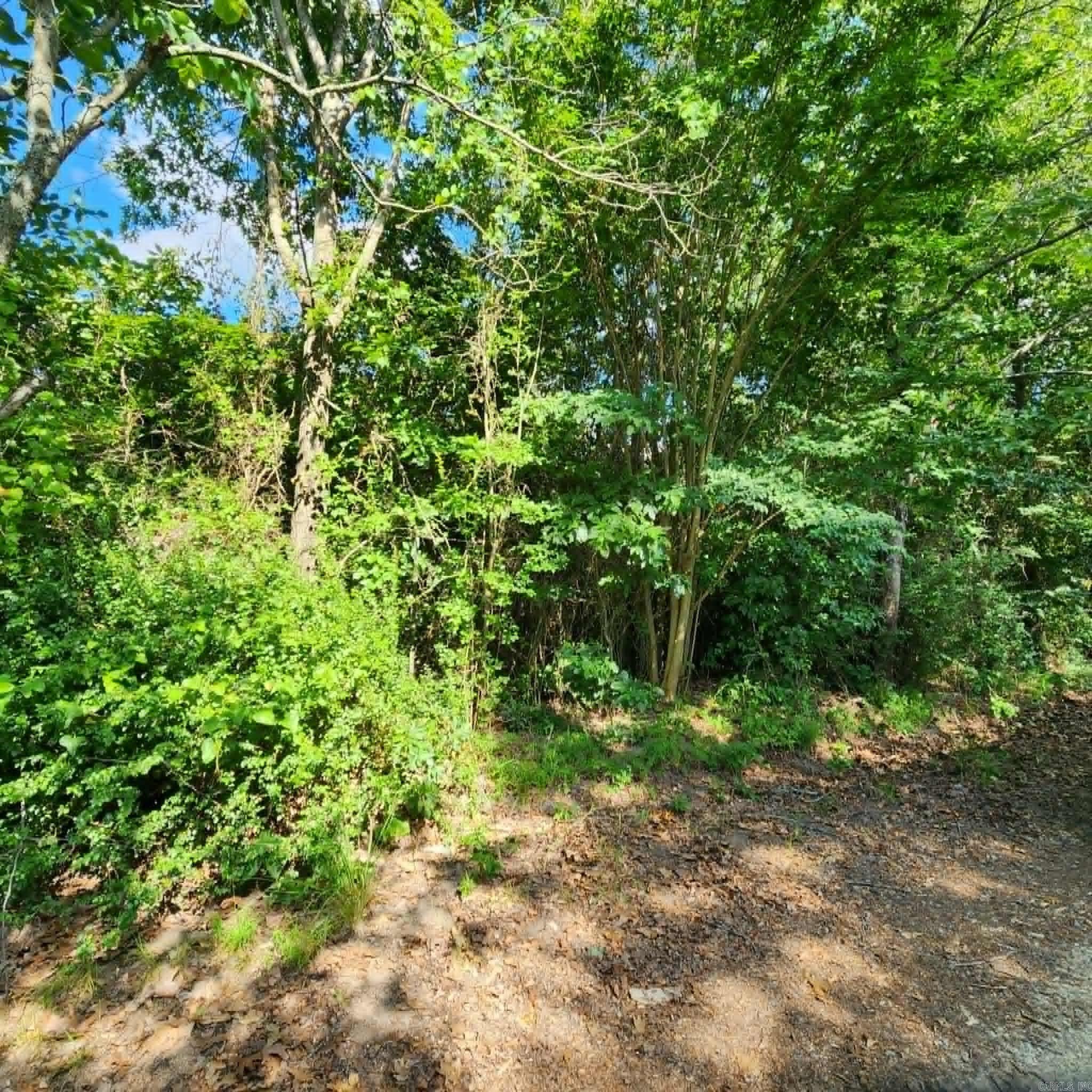 168 Harold Lane  Rose Bud, AR