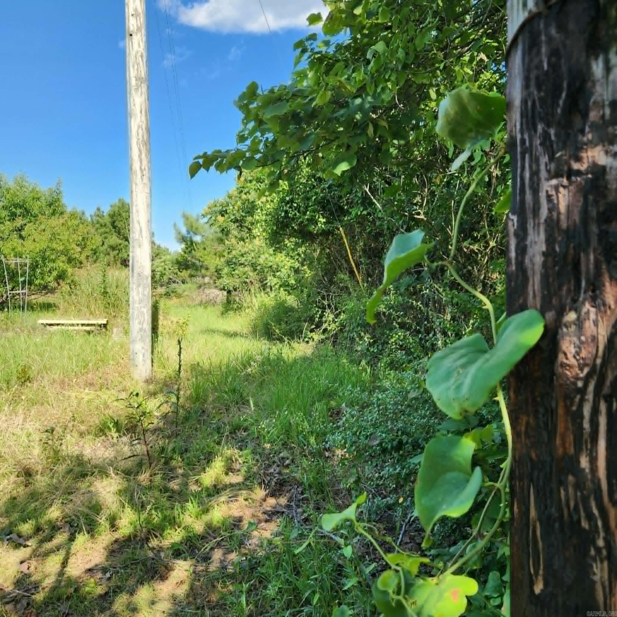 168 Harold Lane  Rose Bud, AR
