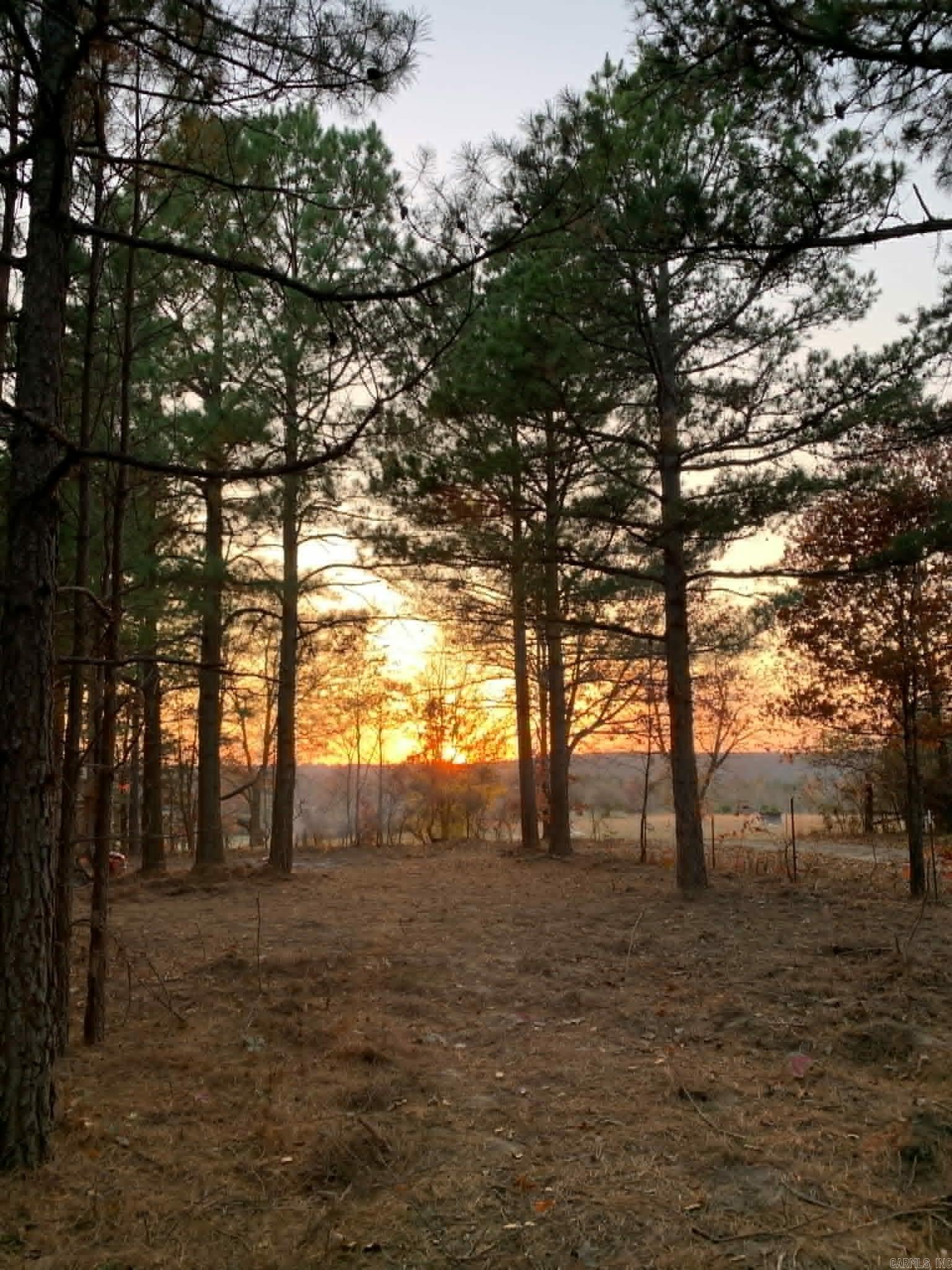 168 Harold Lane  Rose Bud, AR