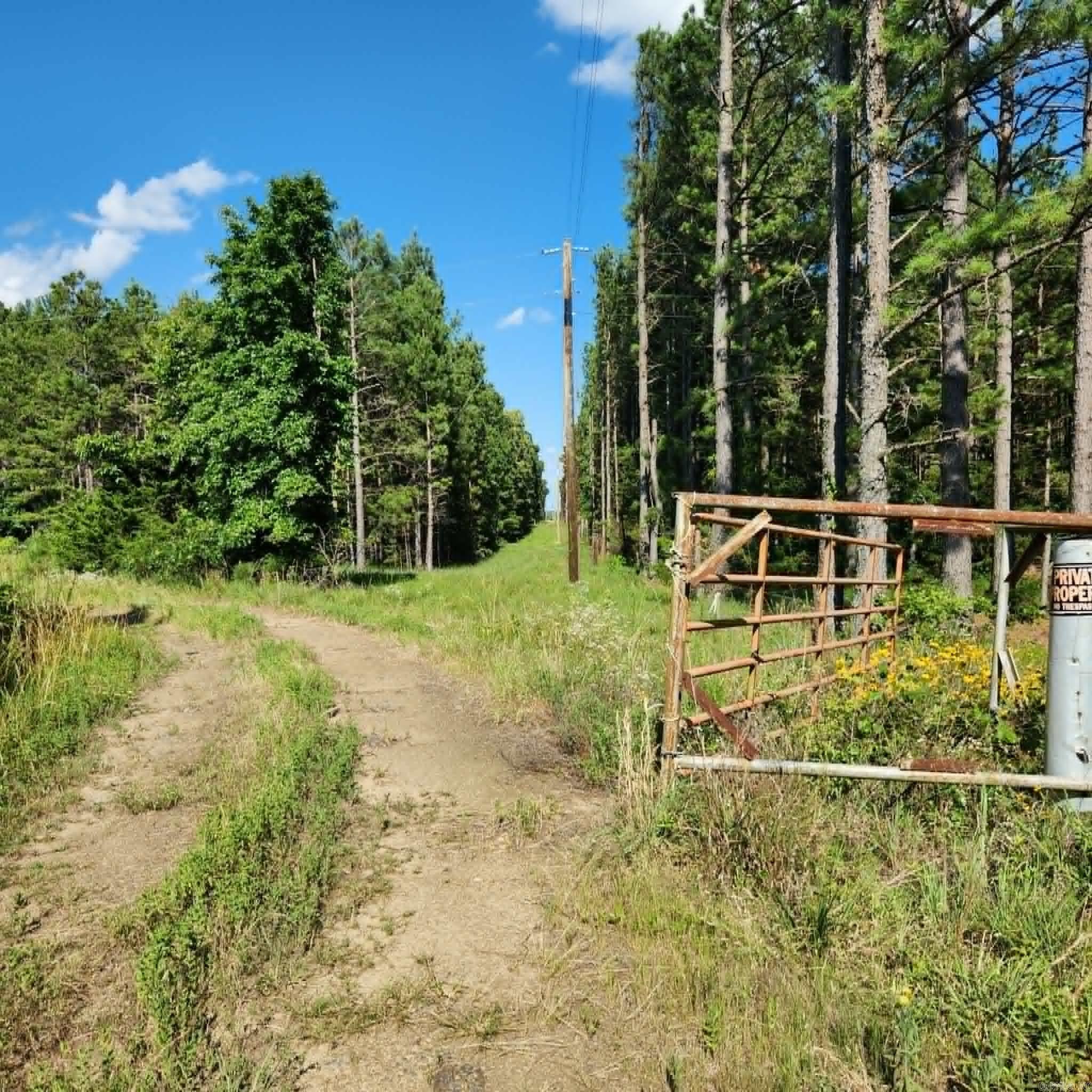 168 Harold Lane  Rose Bud, AR