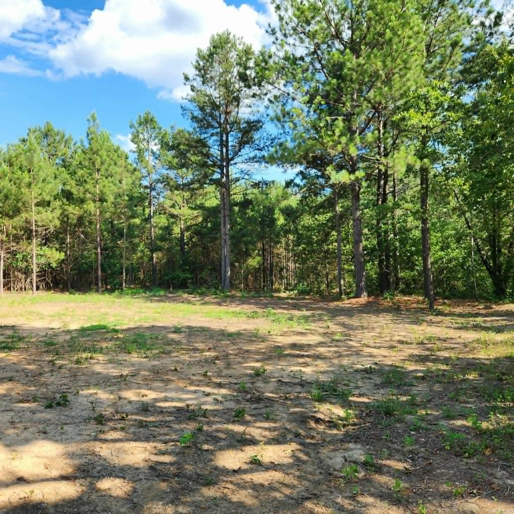 168 Harold Lane  Rose Bud, AR