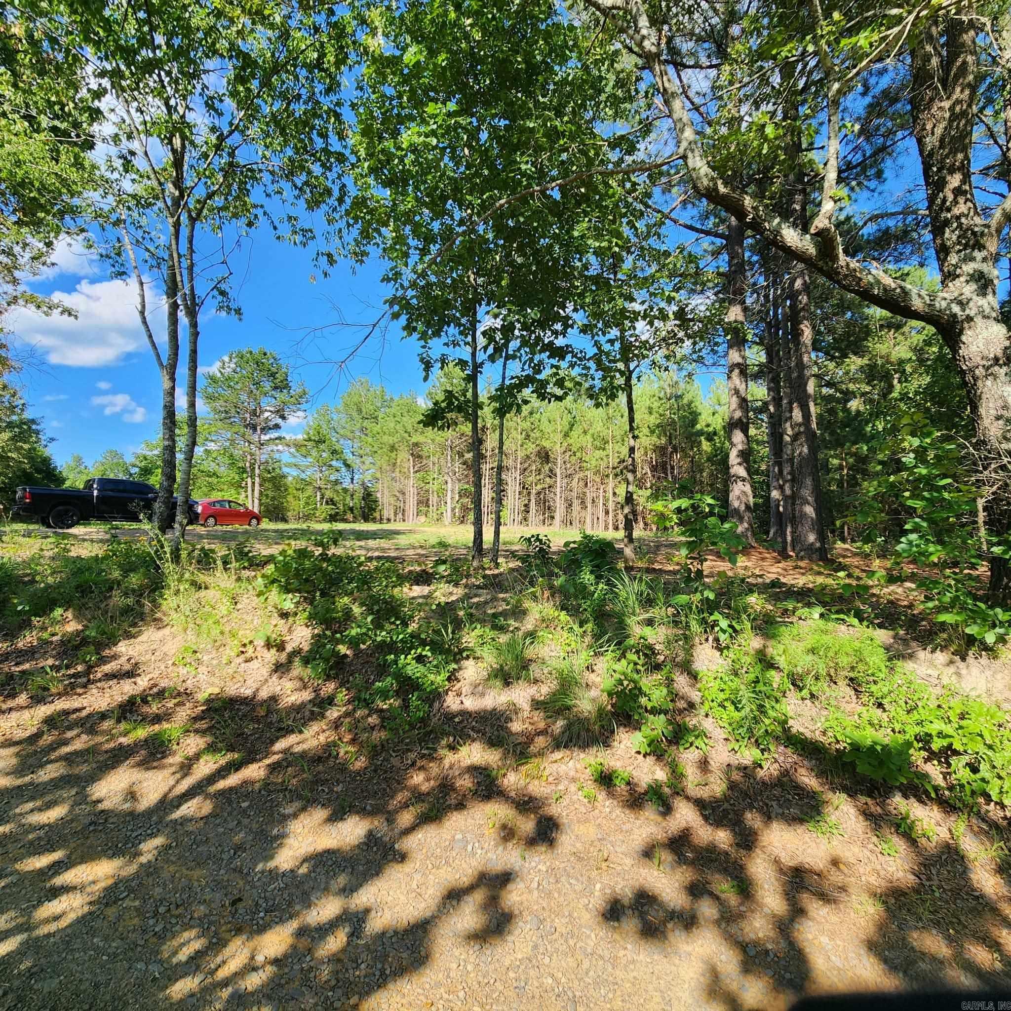 168 Harold Lane  Rose Bud, AR