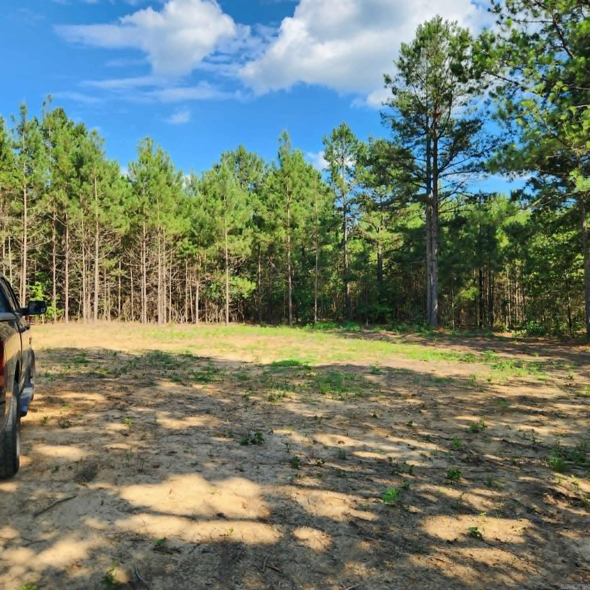 168 Harold Lane  Rose Bud, AR