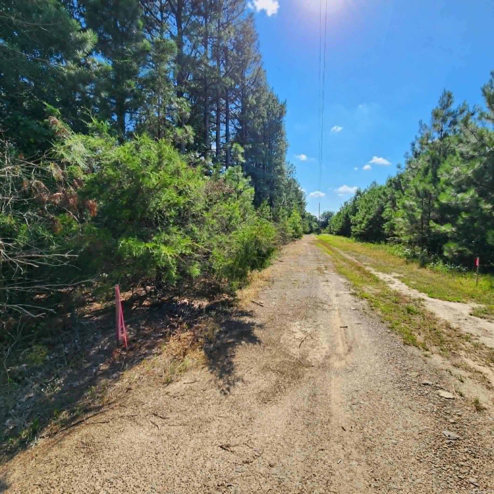 168 Harold Lane  Rose Bud, AR