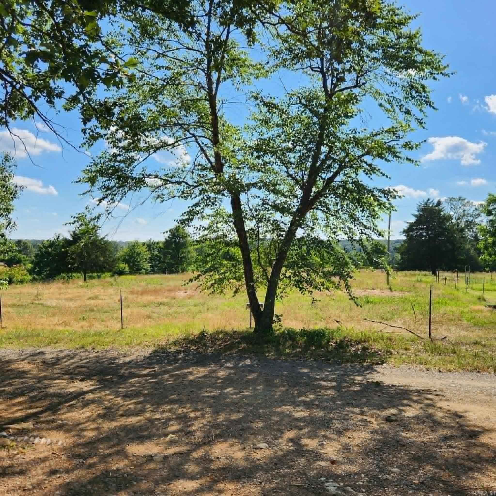 168 Harold Lane  Rose Bud, AR