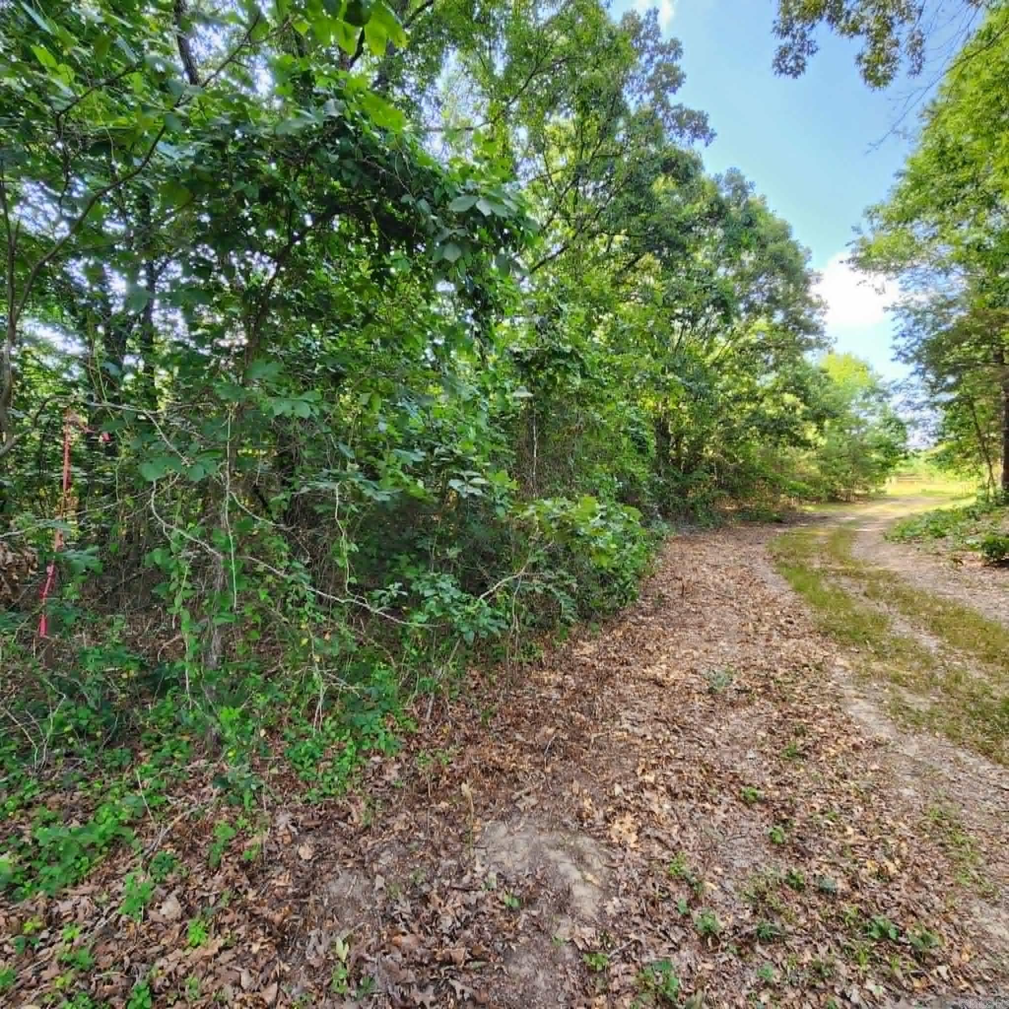 168 Harold Lane  Rose Bud, AR