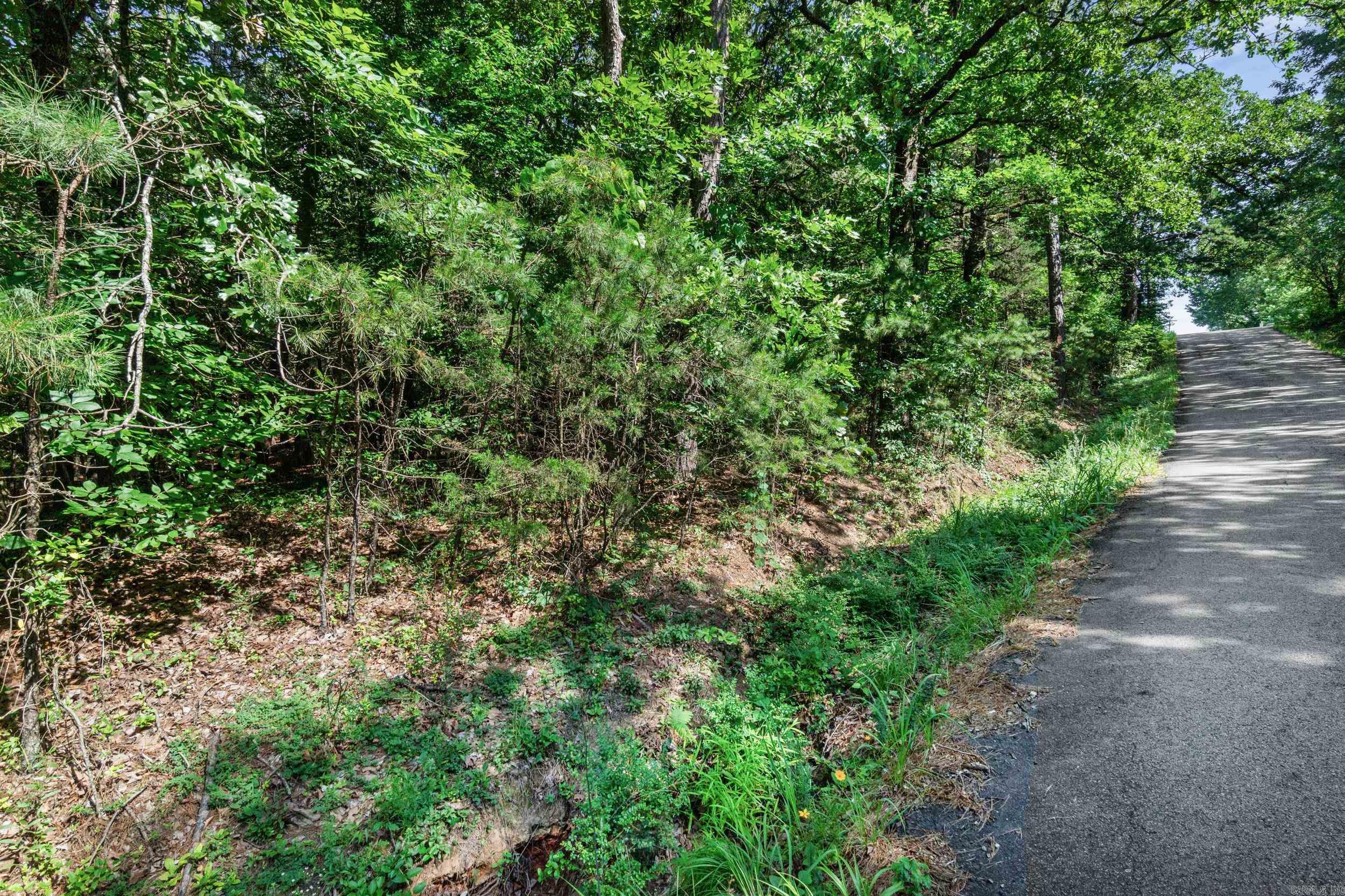 100 SunnyMeadow/Broadway  Heber Springs, AR