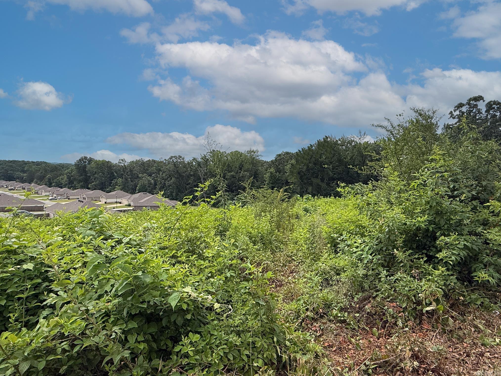 Lot 133 N Stagecoach  Ward, AR