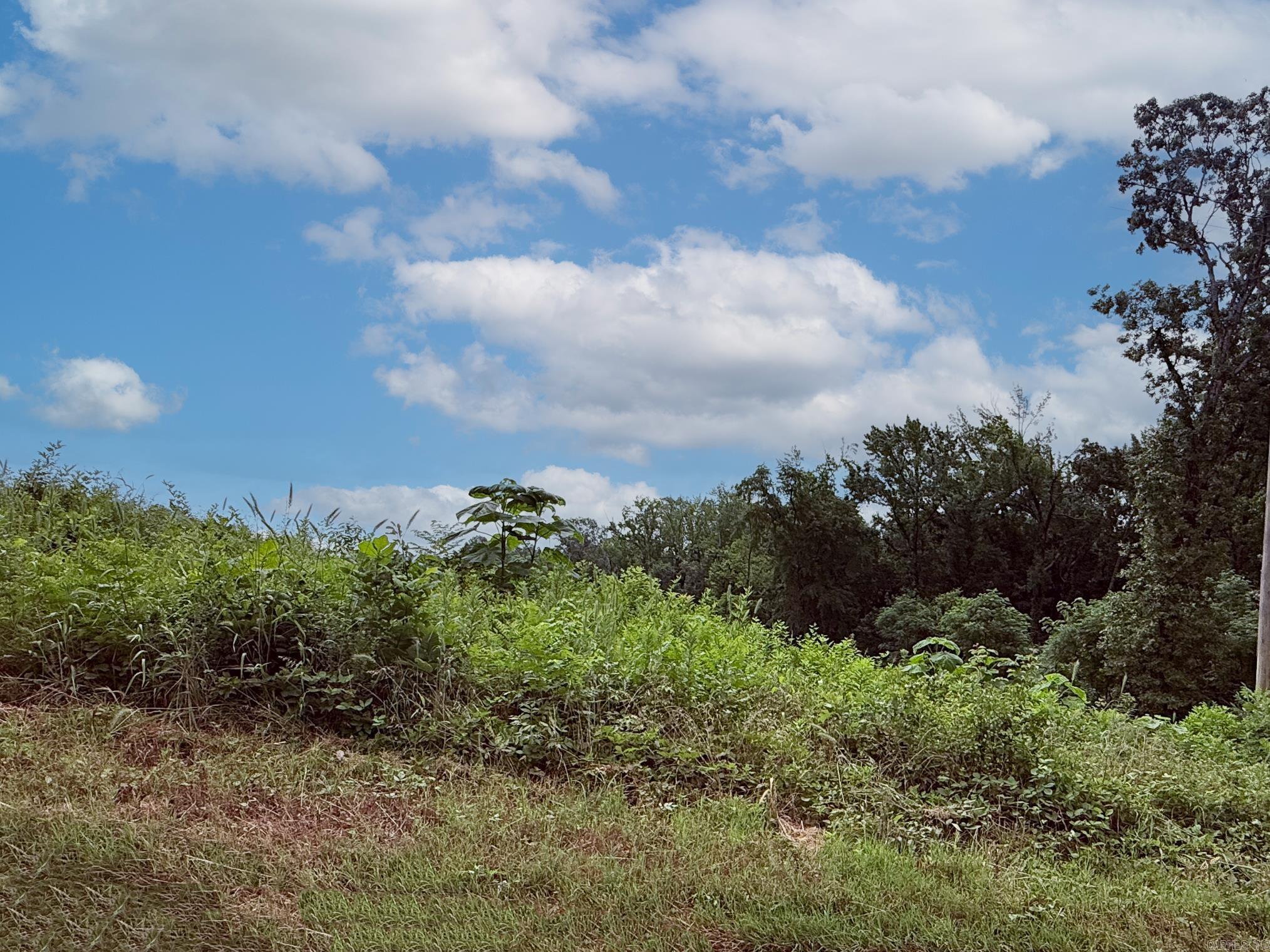Lot 134 N Stagecoach  Ward, AR