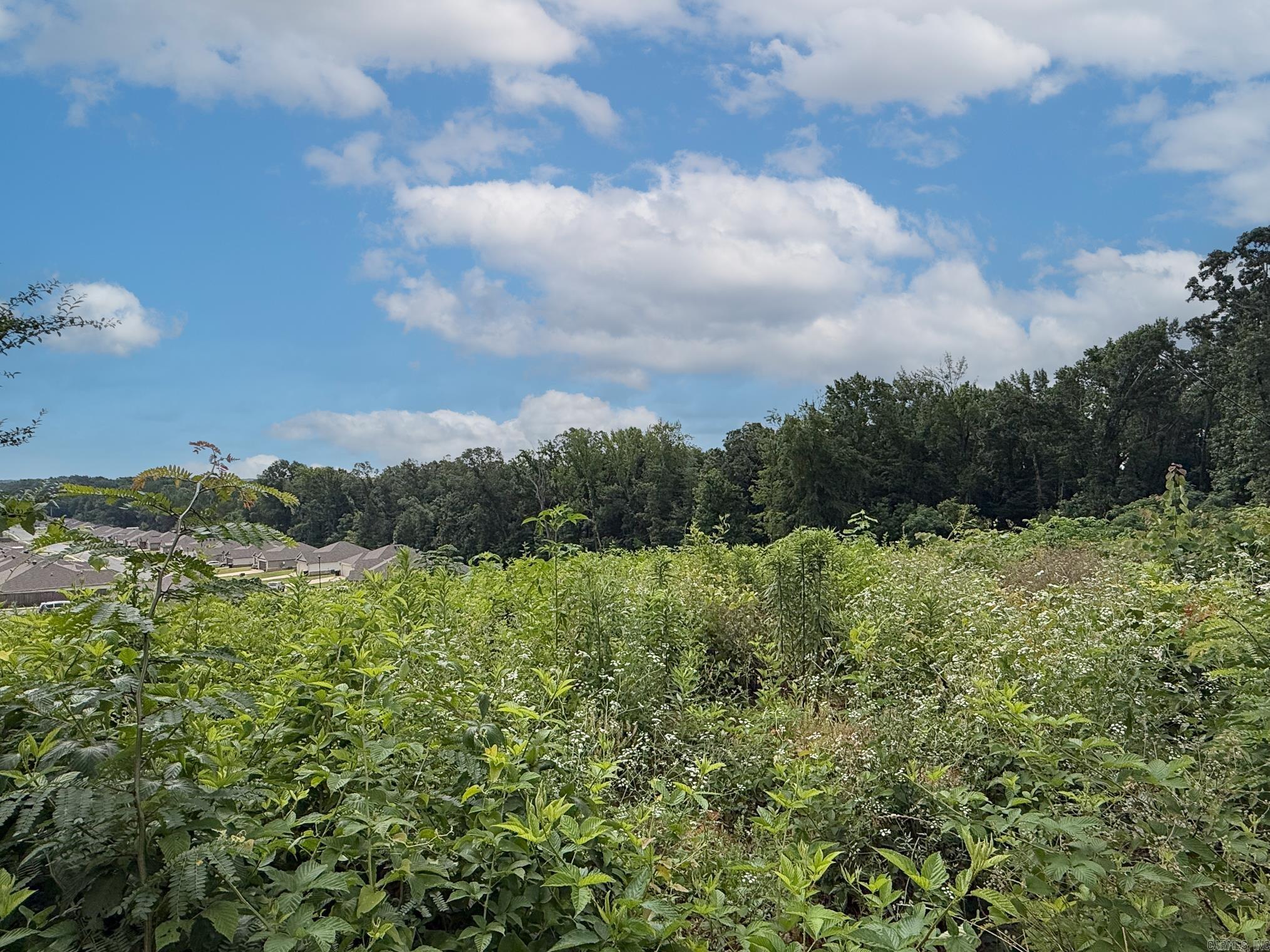 Lot 137 N Stagecoach  Ward, AR