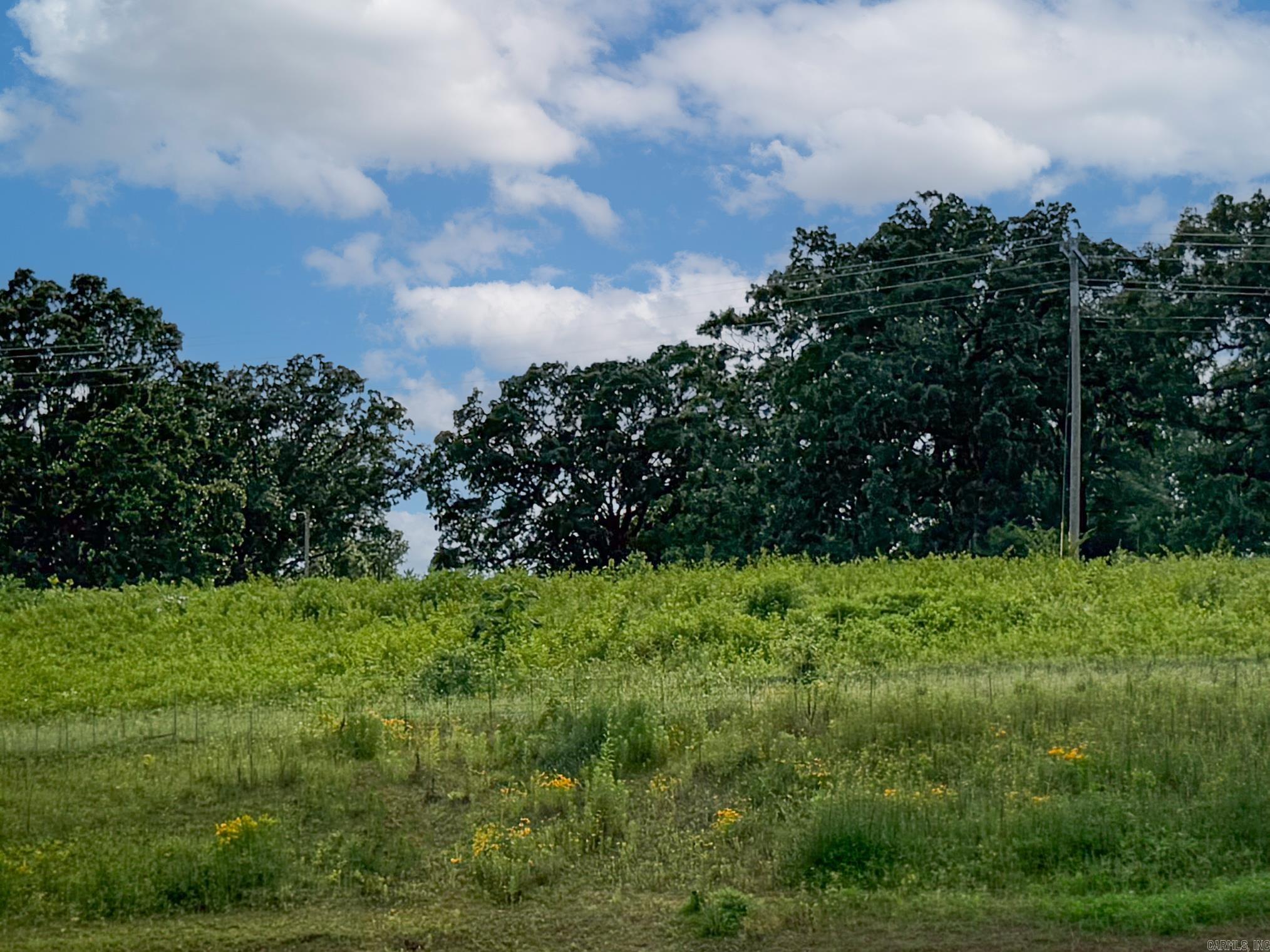 Lot 137 N Stagecoach  Ward, AR