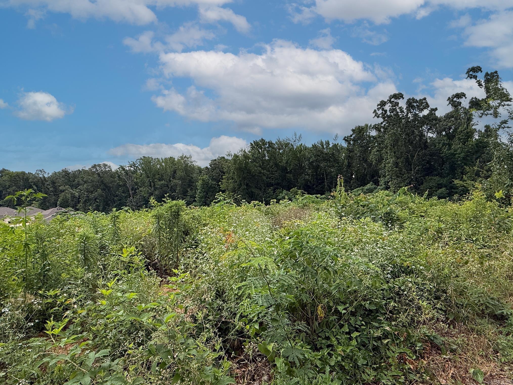 Lot 138 N Stagecoach  Ward, AR