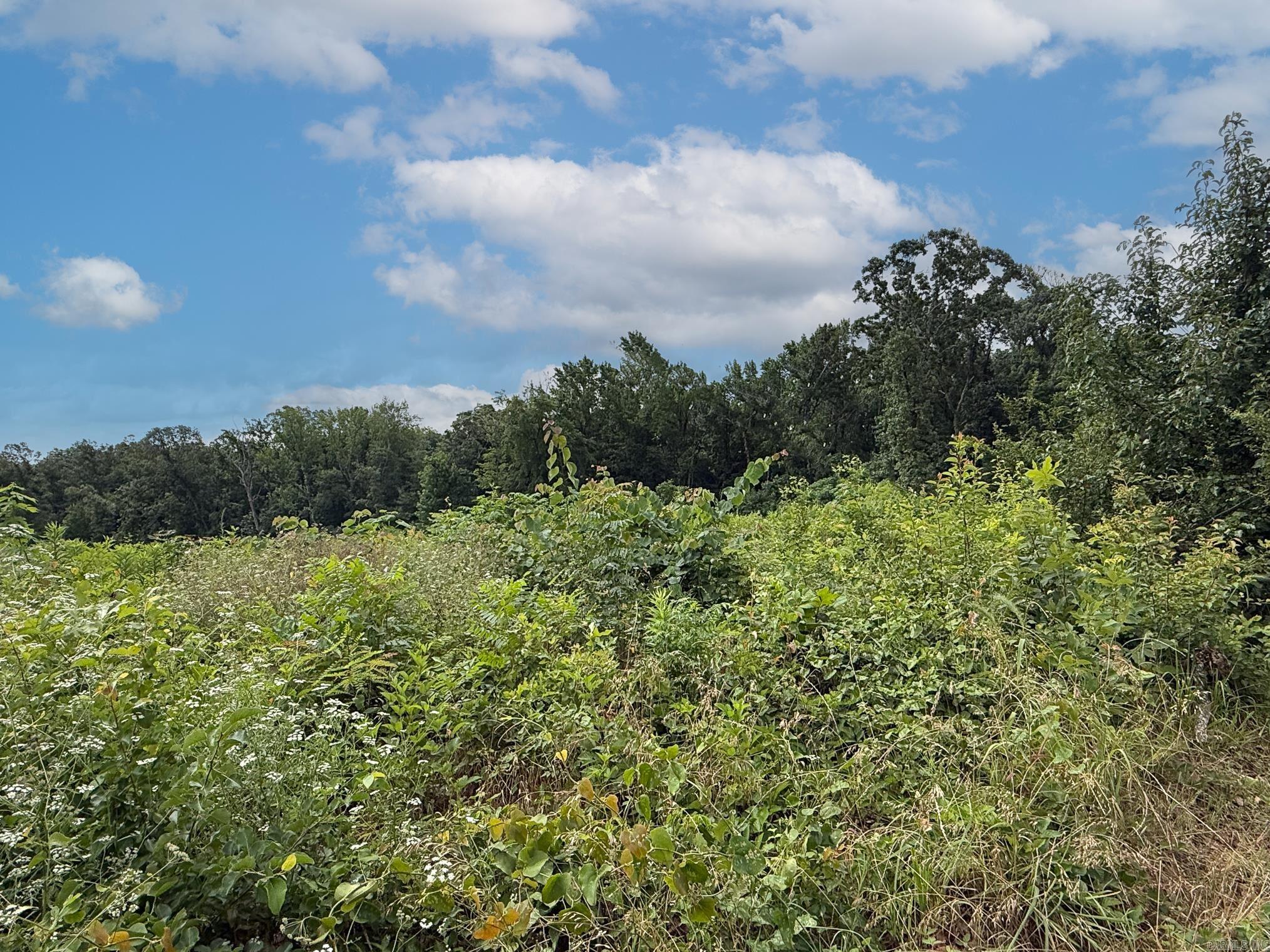 Lot 138 N Stagecoach  Ward, AR