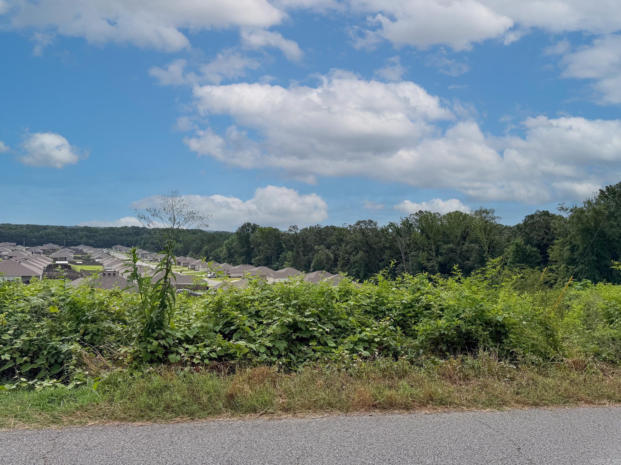 Lot 139 N Stagecoach  Ward, AR