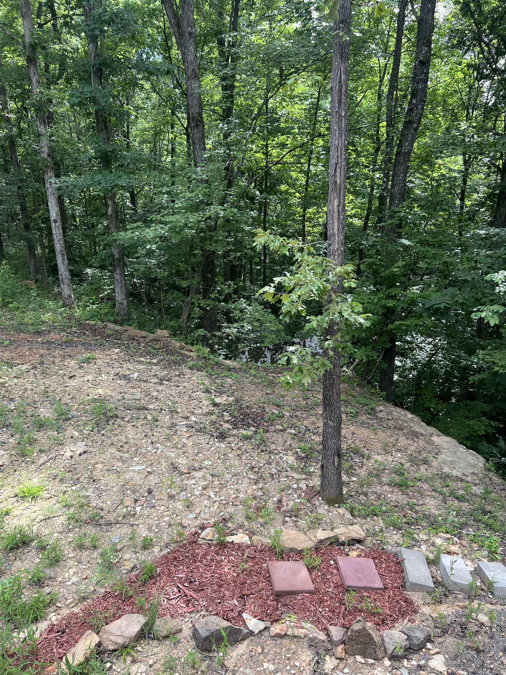 1070 Brewer  Edgemont, AR