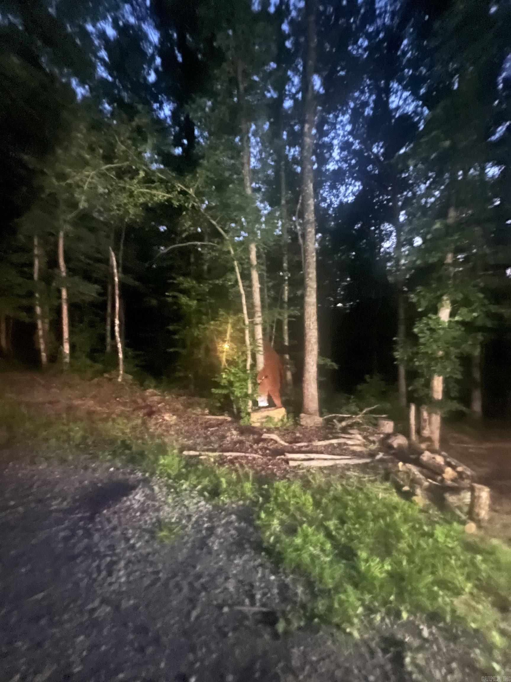 1070 Brewer  Edgemont, AR