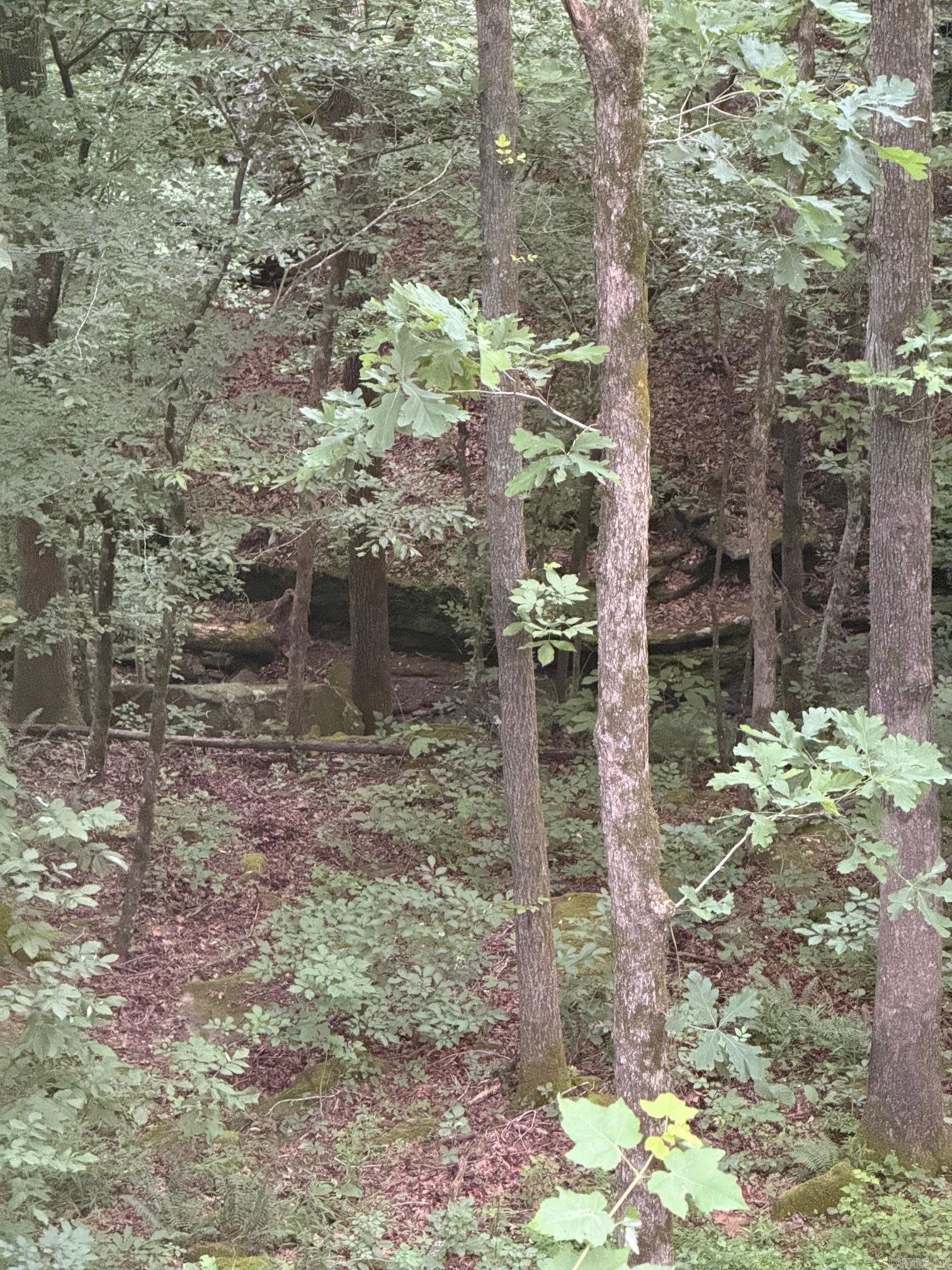 1070 Brewer Road Edgemont, AR 72044-9999