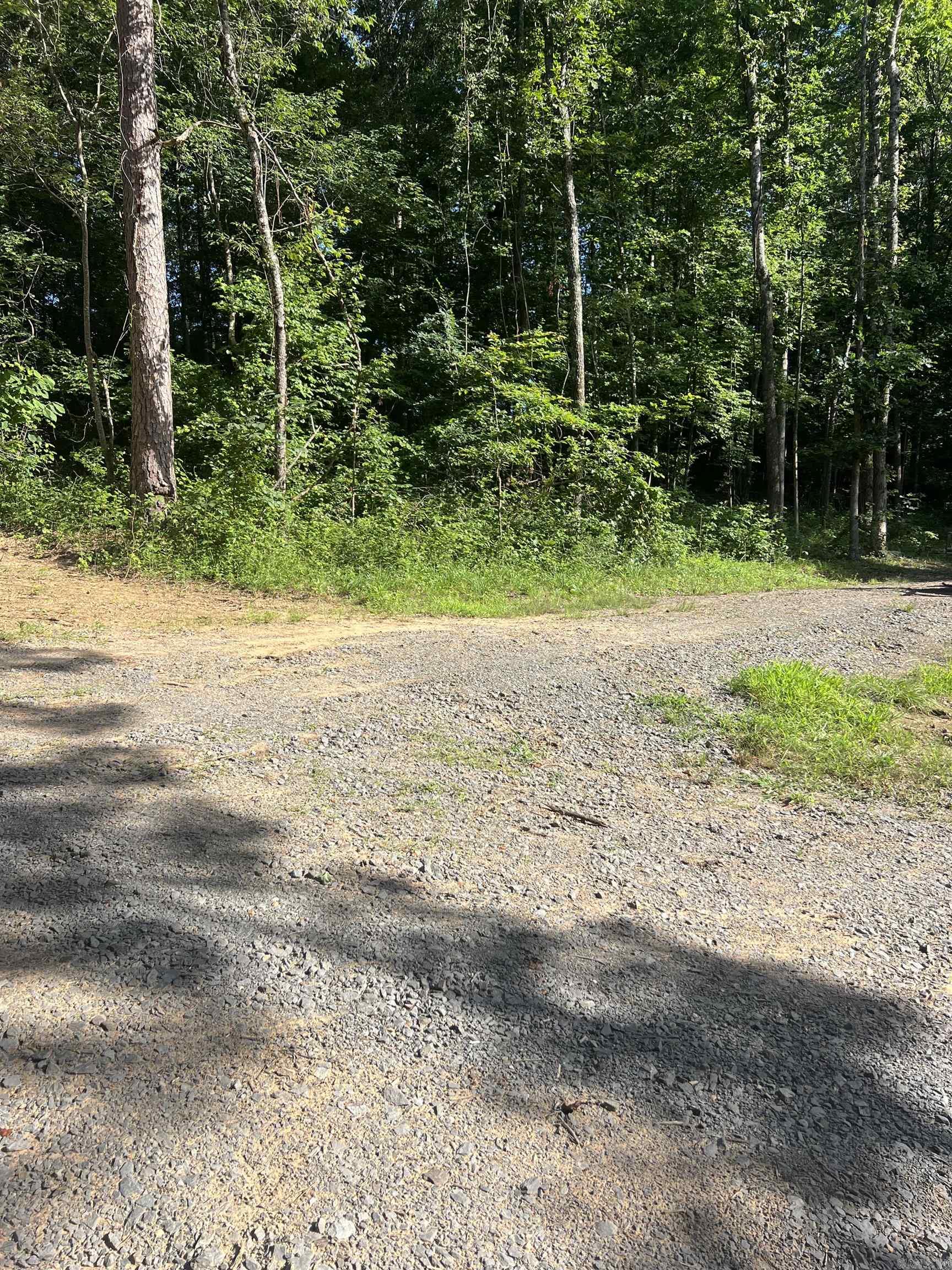 1070 Brewer Road Edgemont, AR 72044-9999