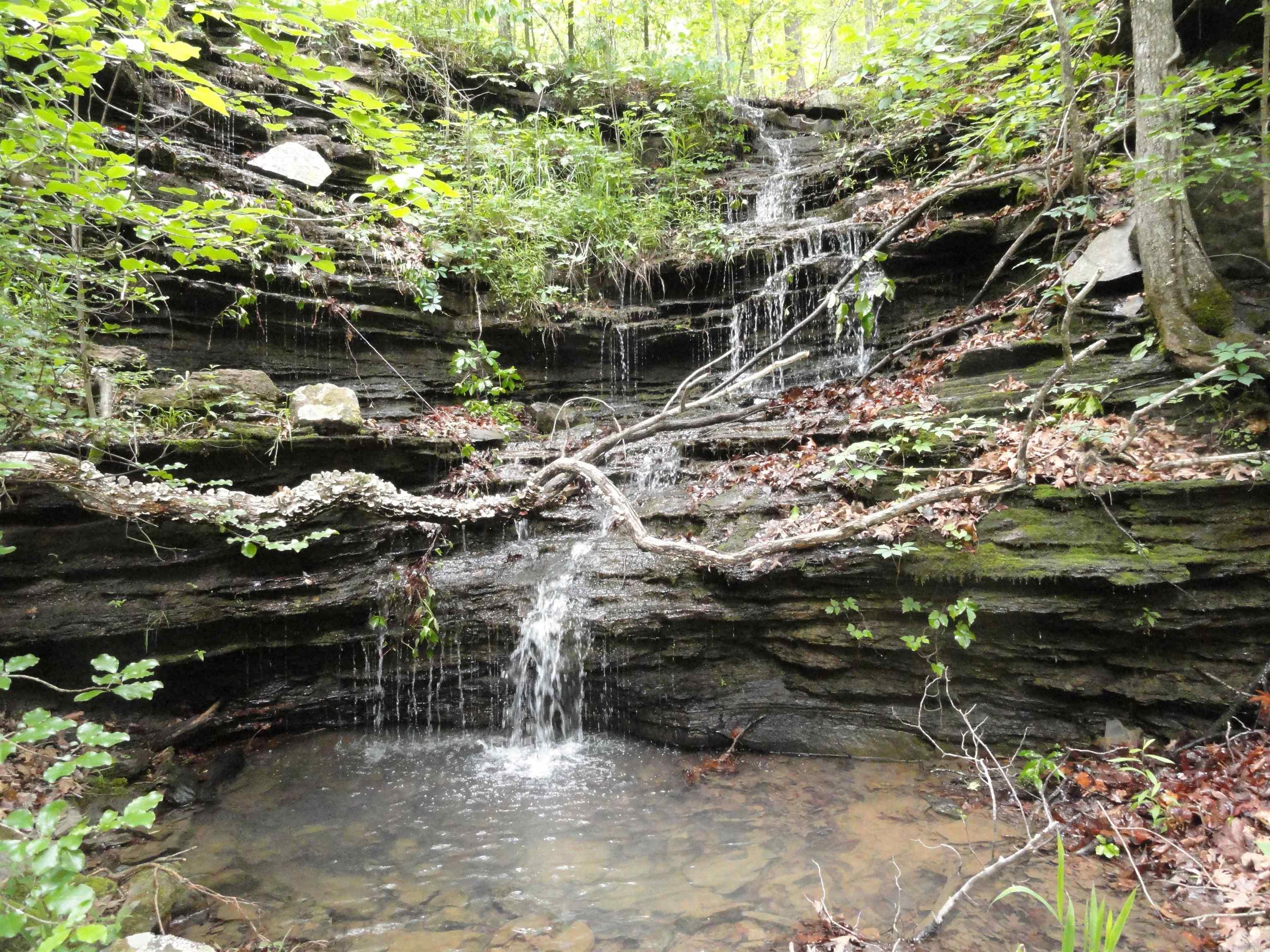 0000 Holly Mtn.  Clinton, AR