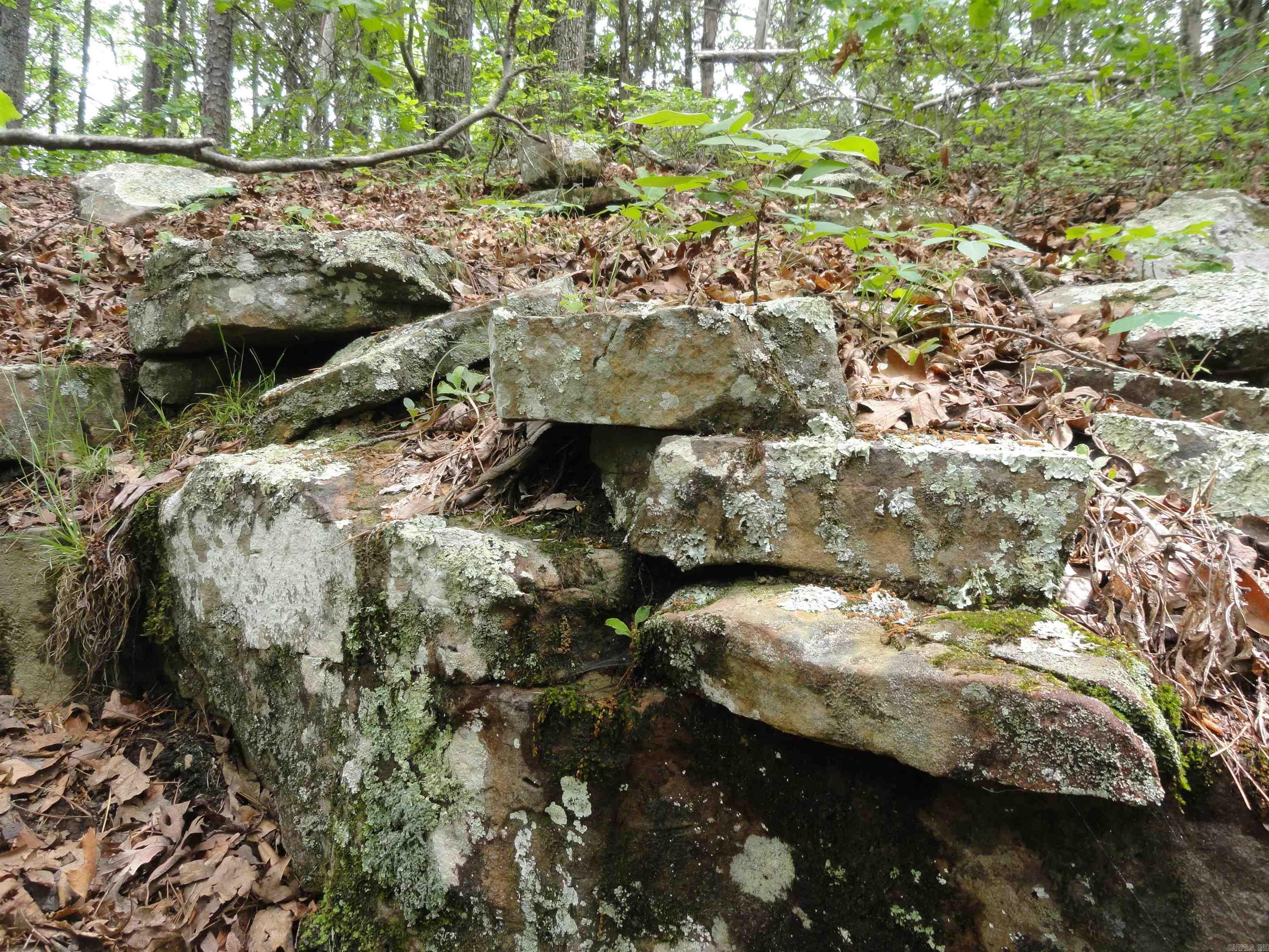 0000 Holly Mtn.  Clinton, AR