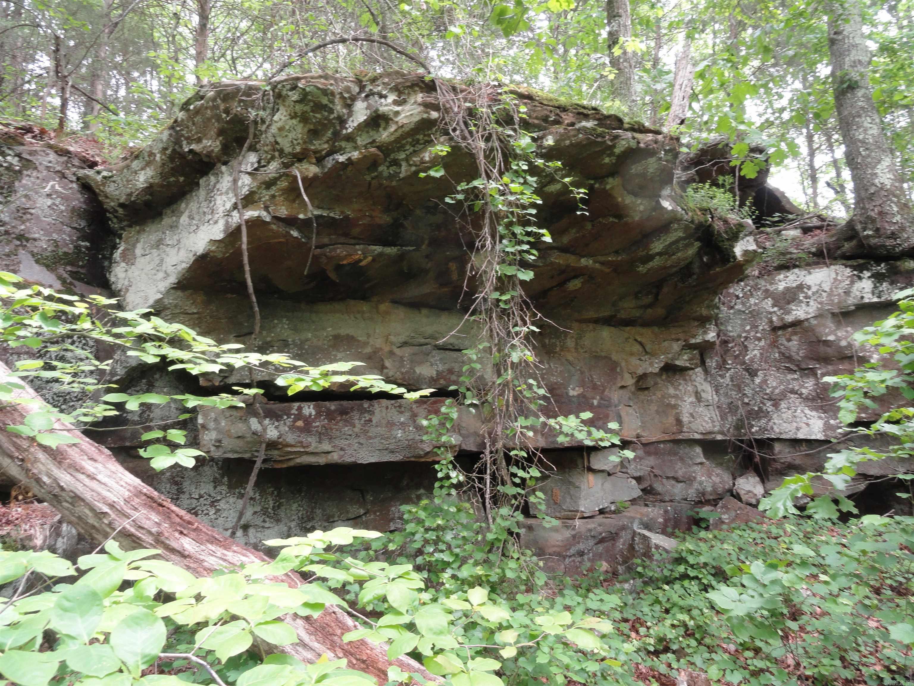 0000 Holly Mtn.  Clinton, AR