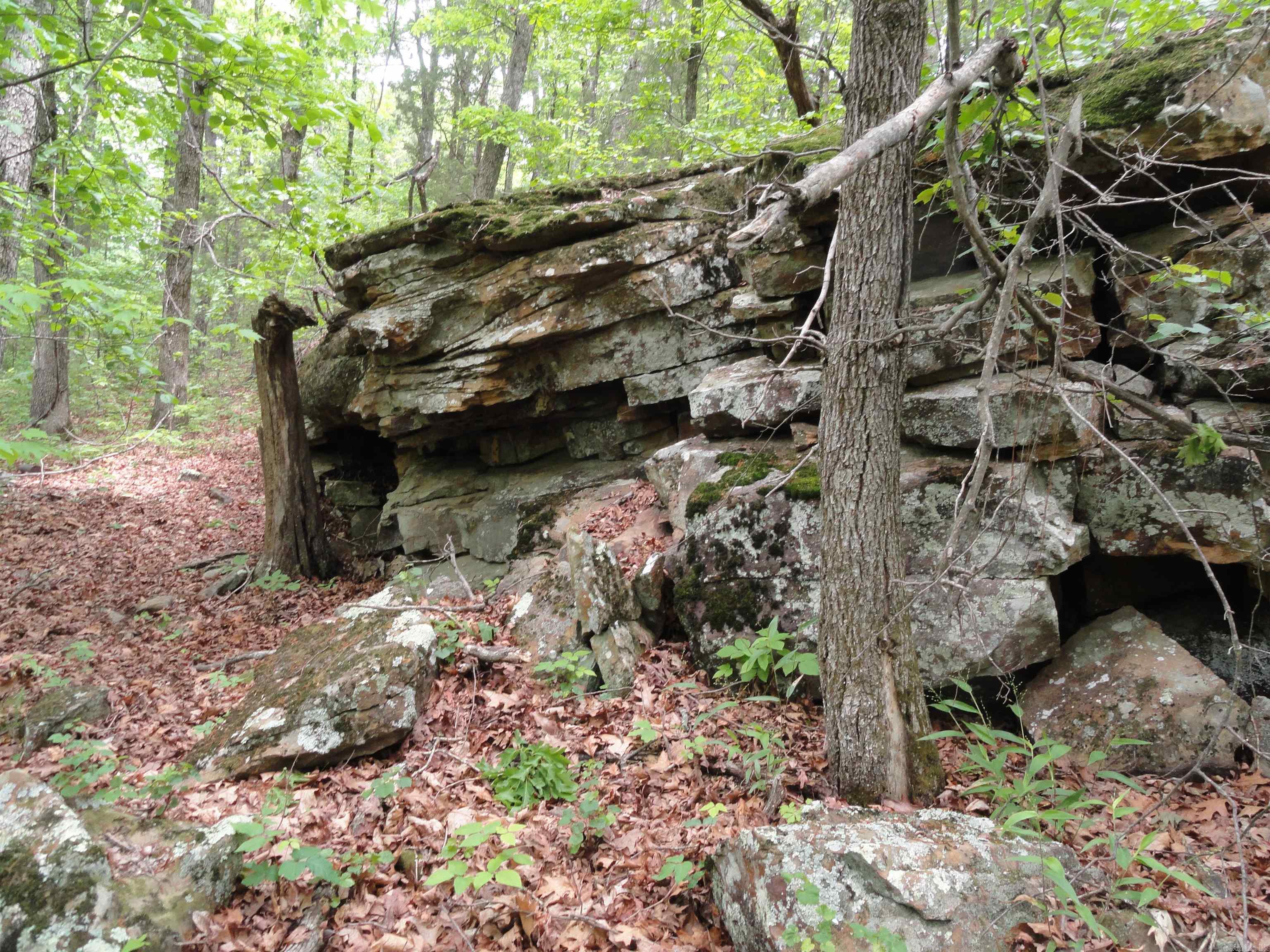0000 Holly Mtn.  Clinton, AR
