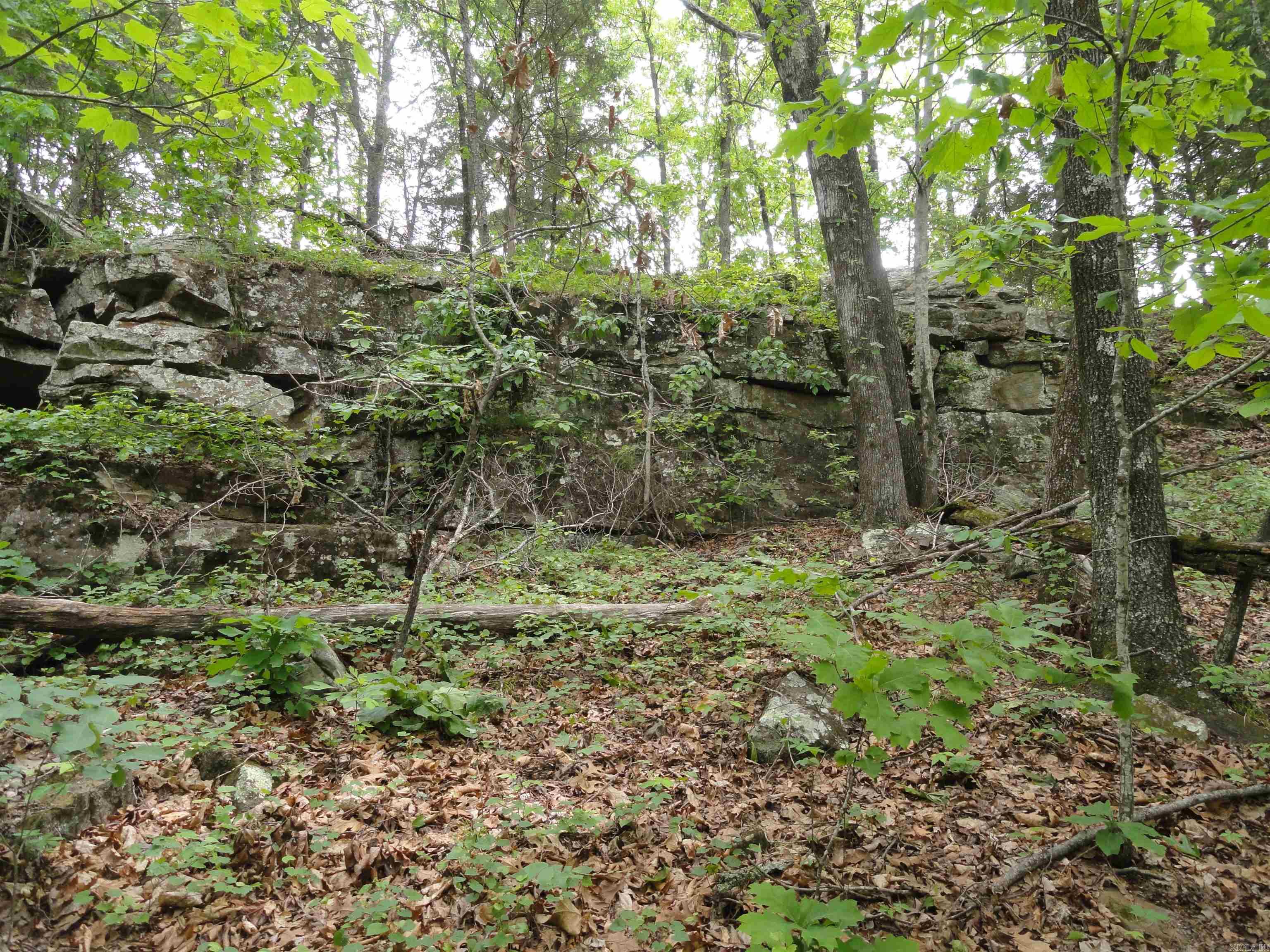 0000 Holly Mtn.  Clinton, AR