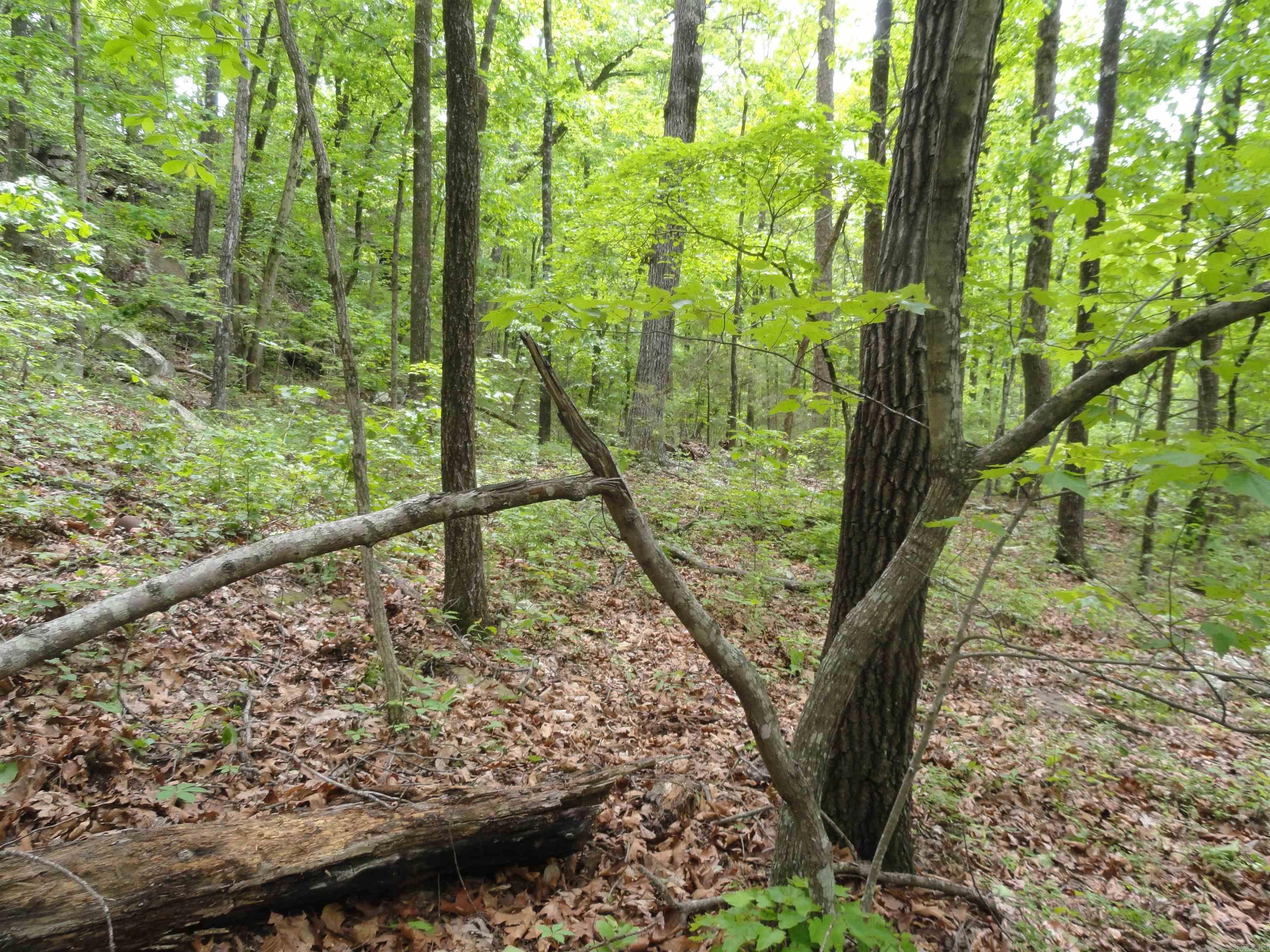 0000 Holly Mtn.  Clinton, AR