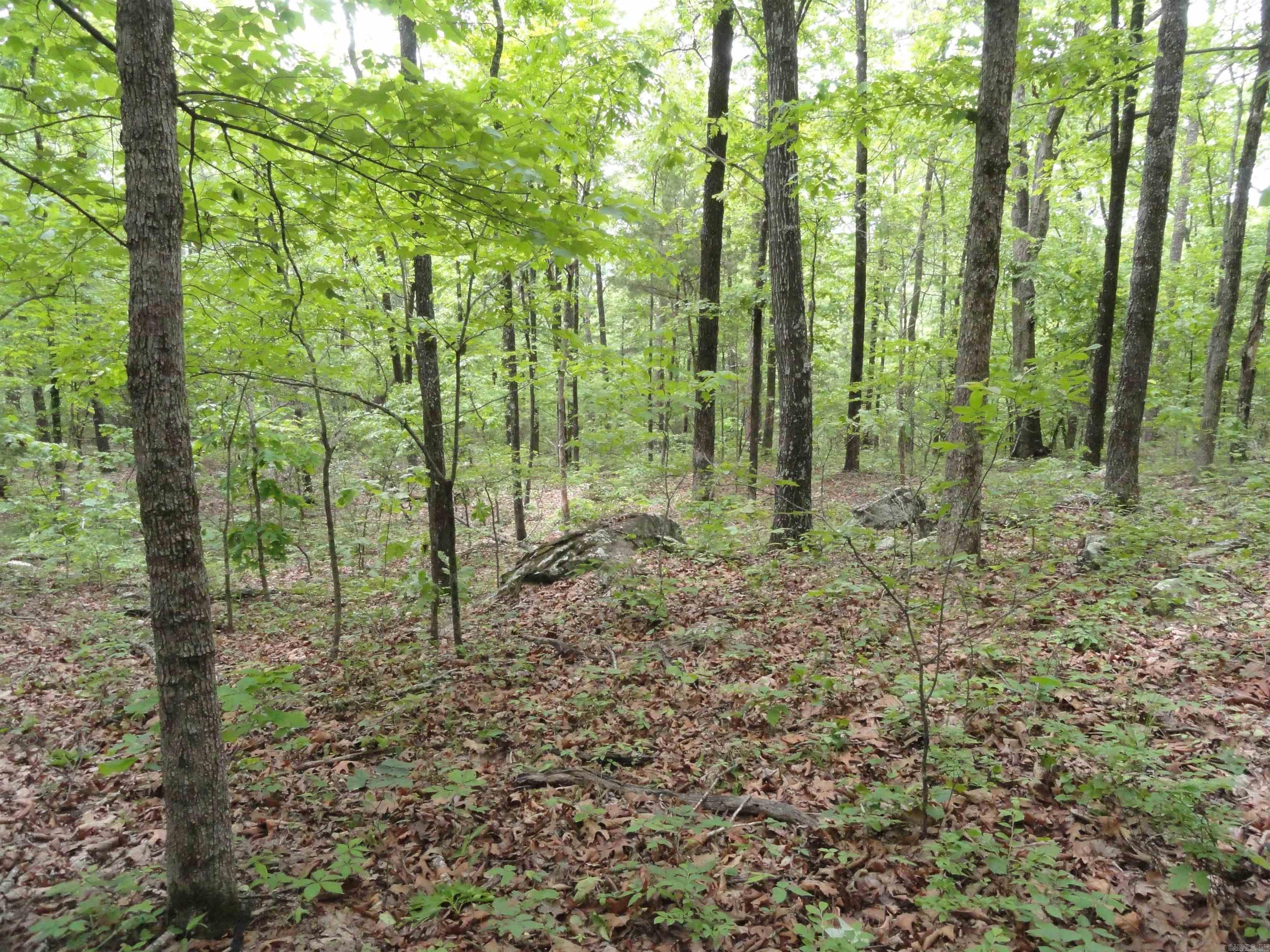 0000 Holly Mtn.  Clinton, AR