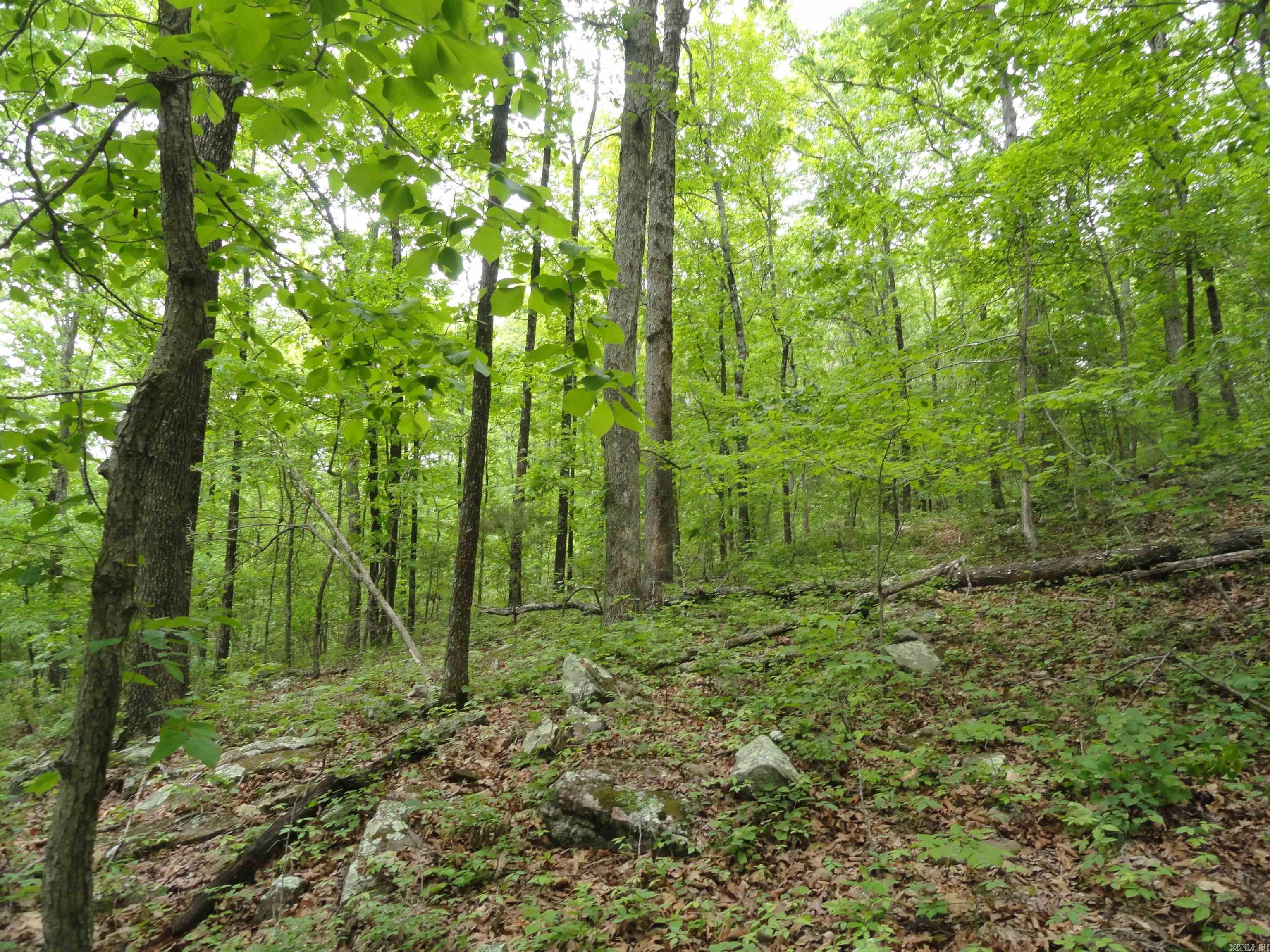 0000 Holly Mtn.  Clinton, AR