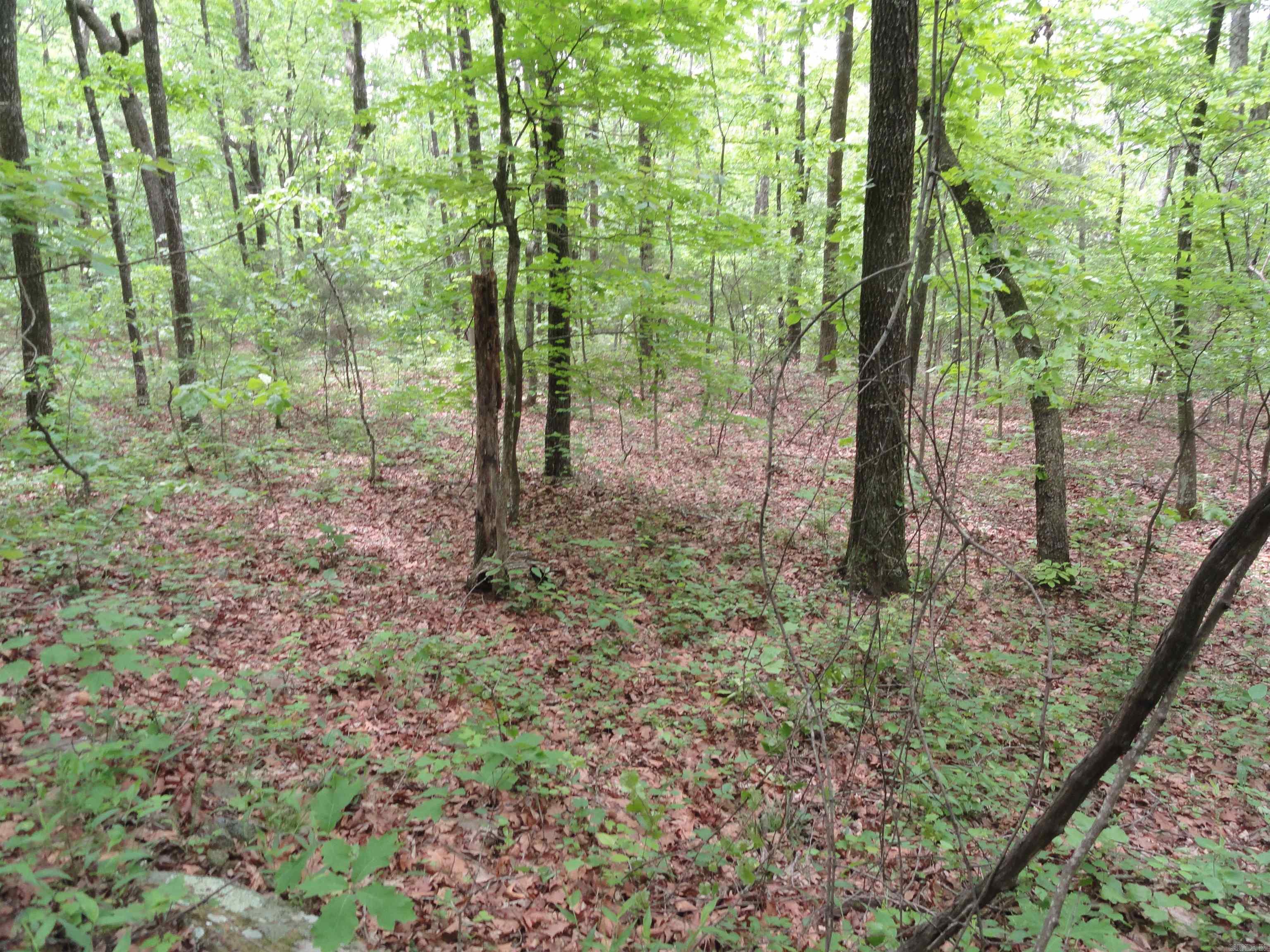 0000 Holly Mtn.  Clinton, AR