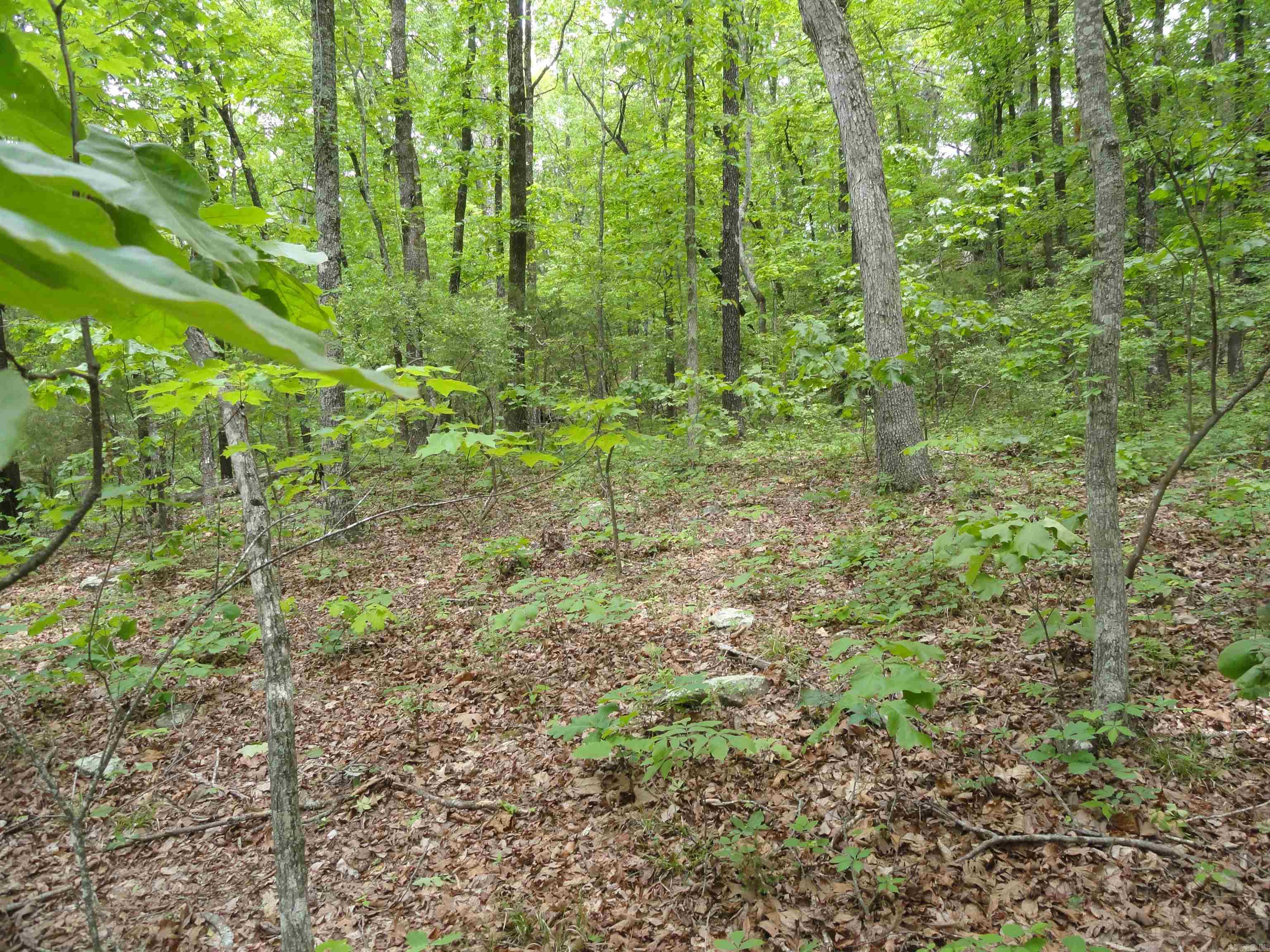 0000 Holly Mtn.  Clinton, AR