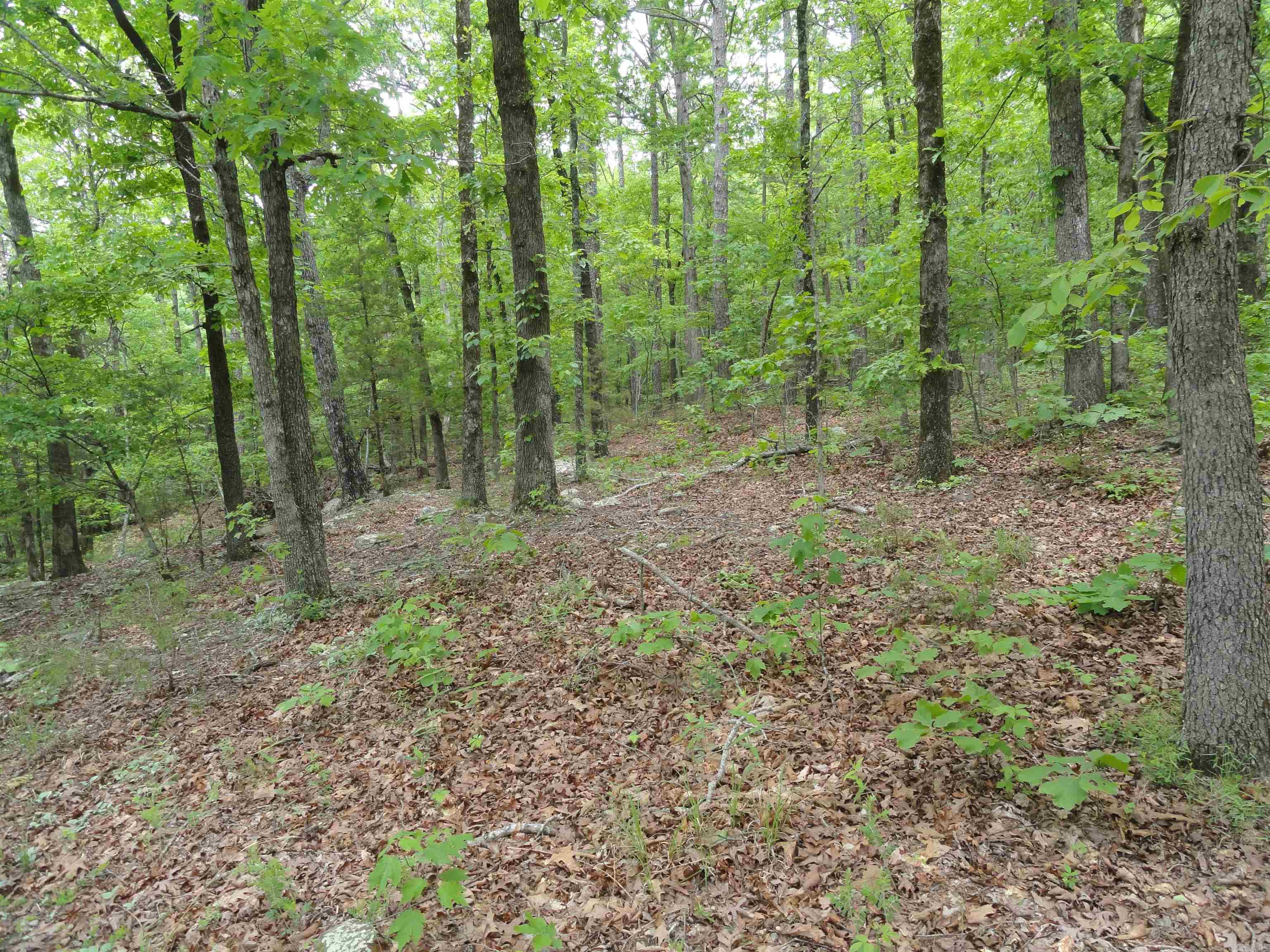 0000 Holly Mtn.  Clinton, AR