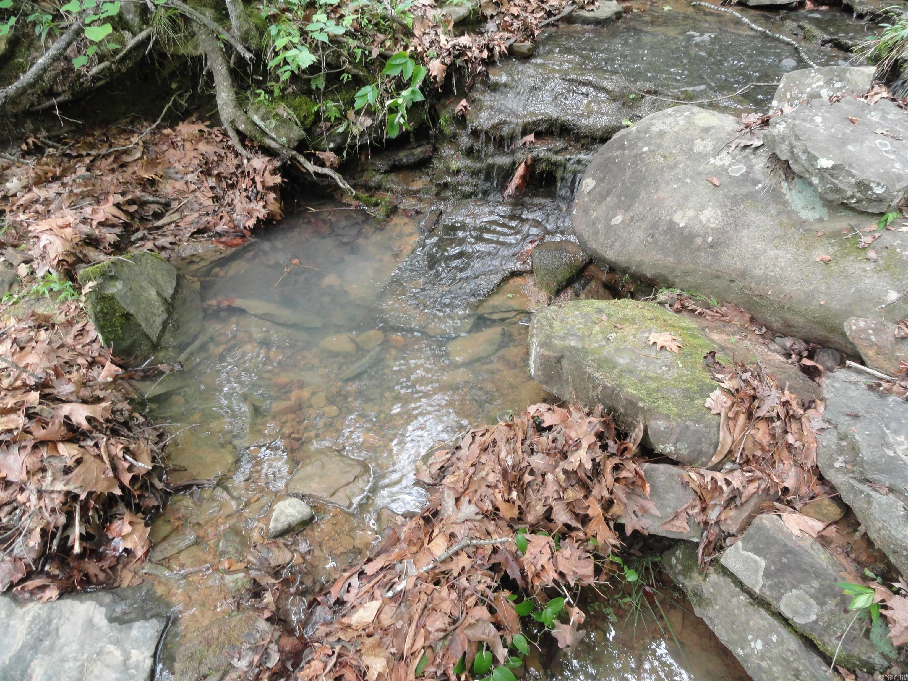 0000 Holly Mtn.  Clinton, AR