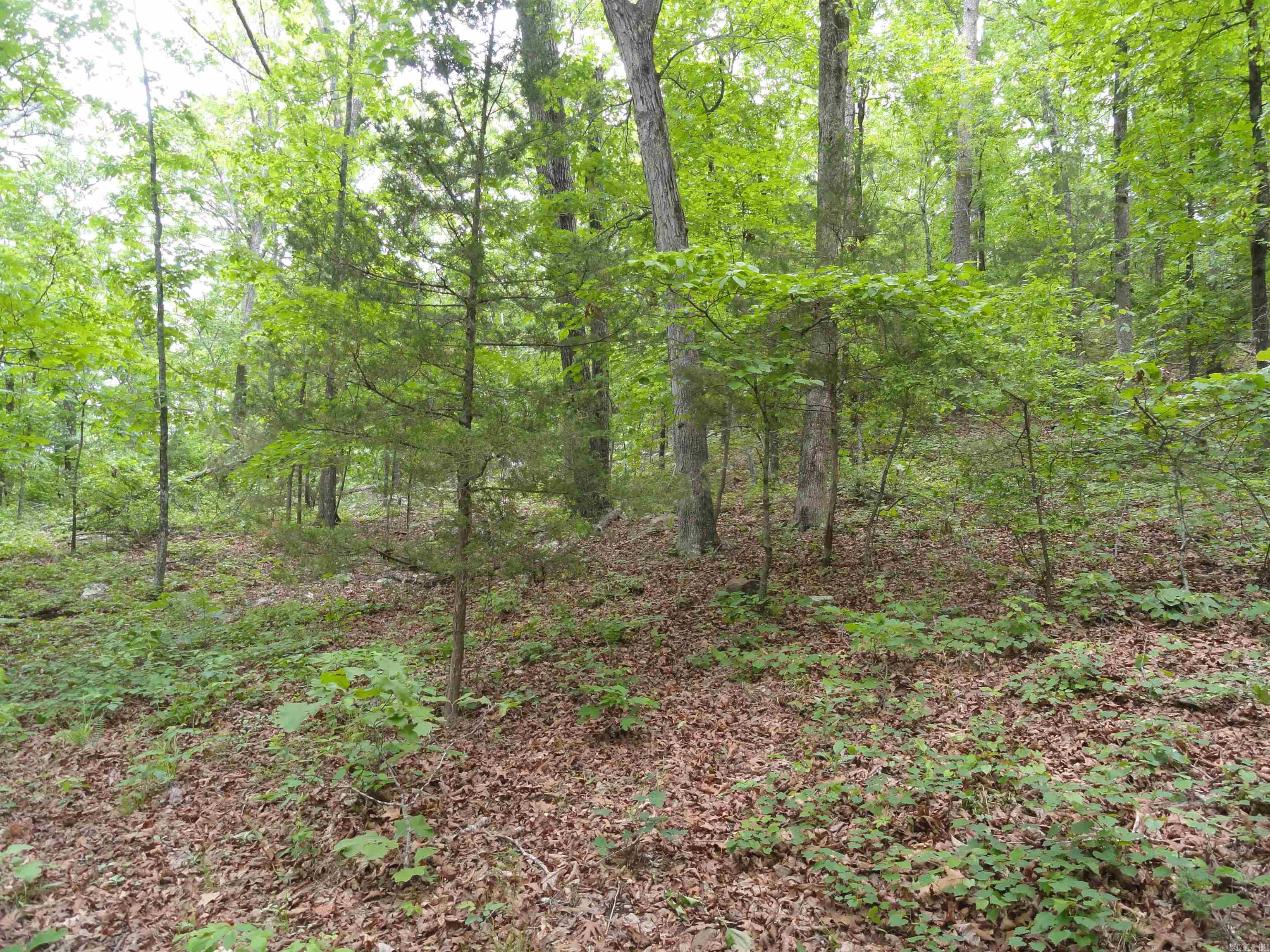 0000 Holly Mtn.  Clinton, AR